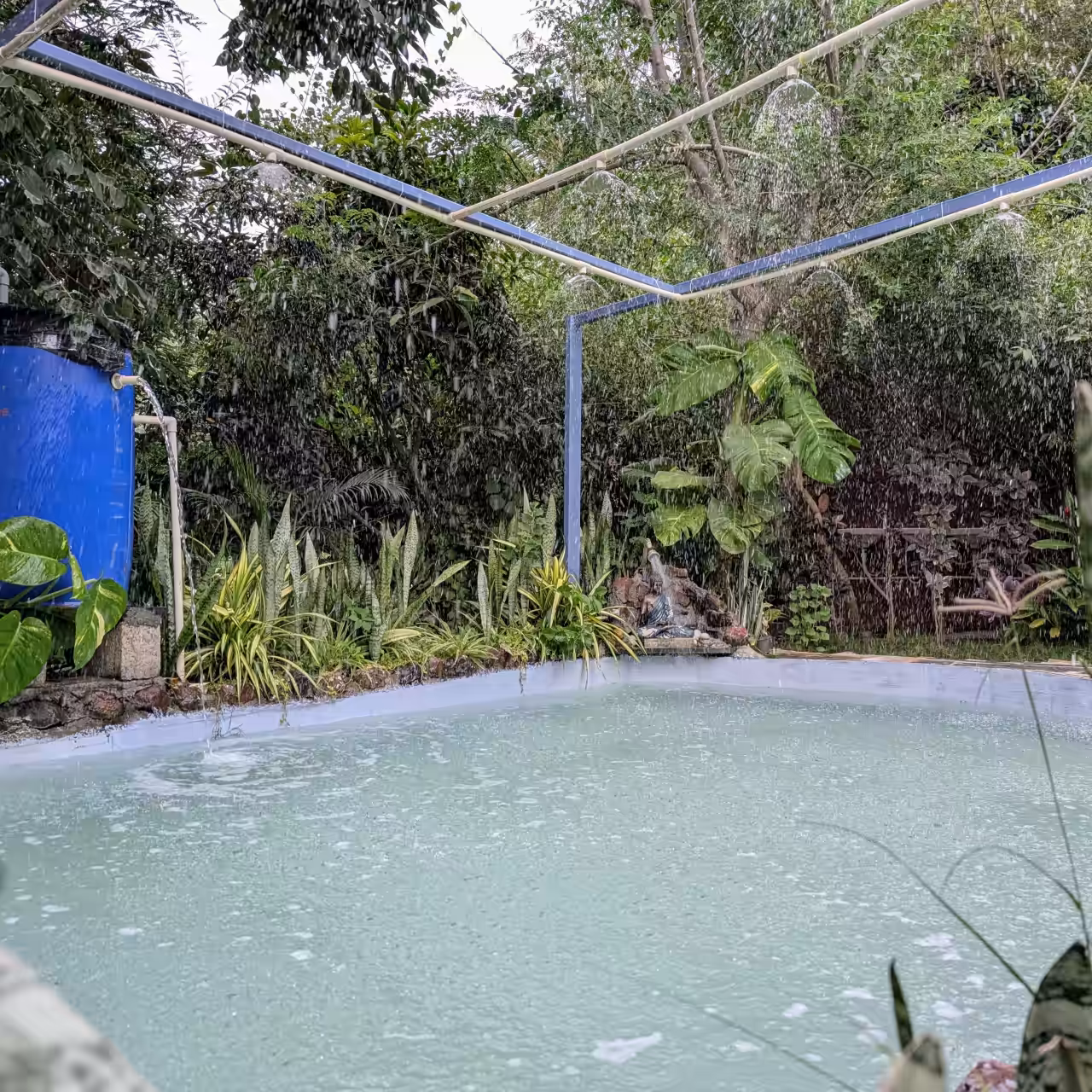Outdoor relaxation area at Major's Retreat with a blue water tank, lush greenery, a shaded seating area, and a clear pool in the foreground.