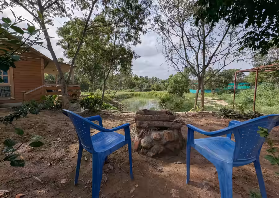 Outdoor seating area at Major's Retreat with two blue plastic chairs and lush green surroundings near a cottage.