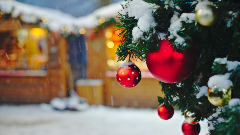 christmas tree in front of a decorated house