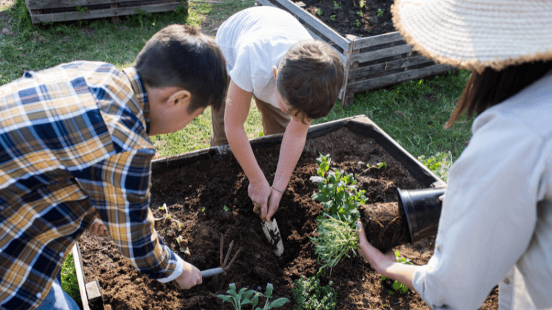 two boys and a woman planting plants in a community garden