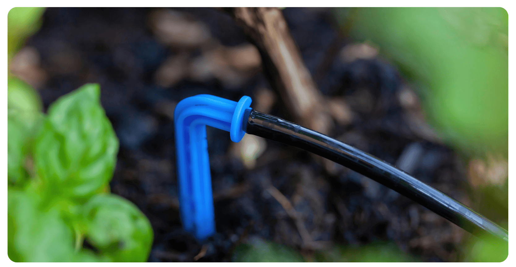 drip irrigation system in garden