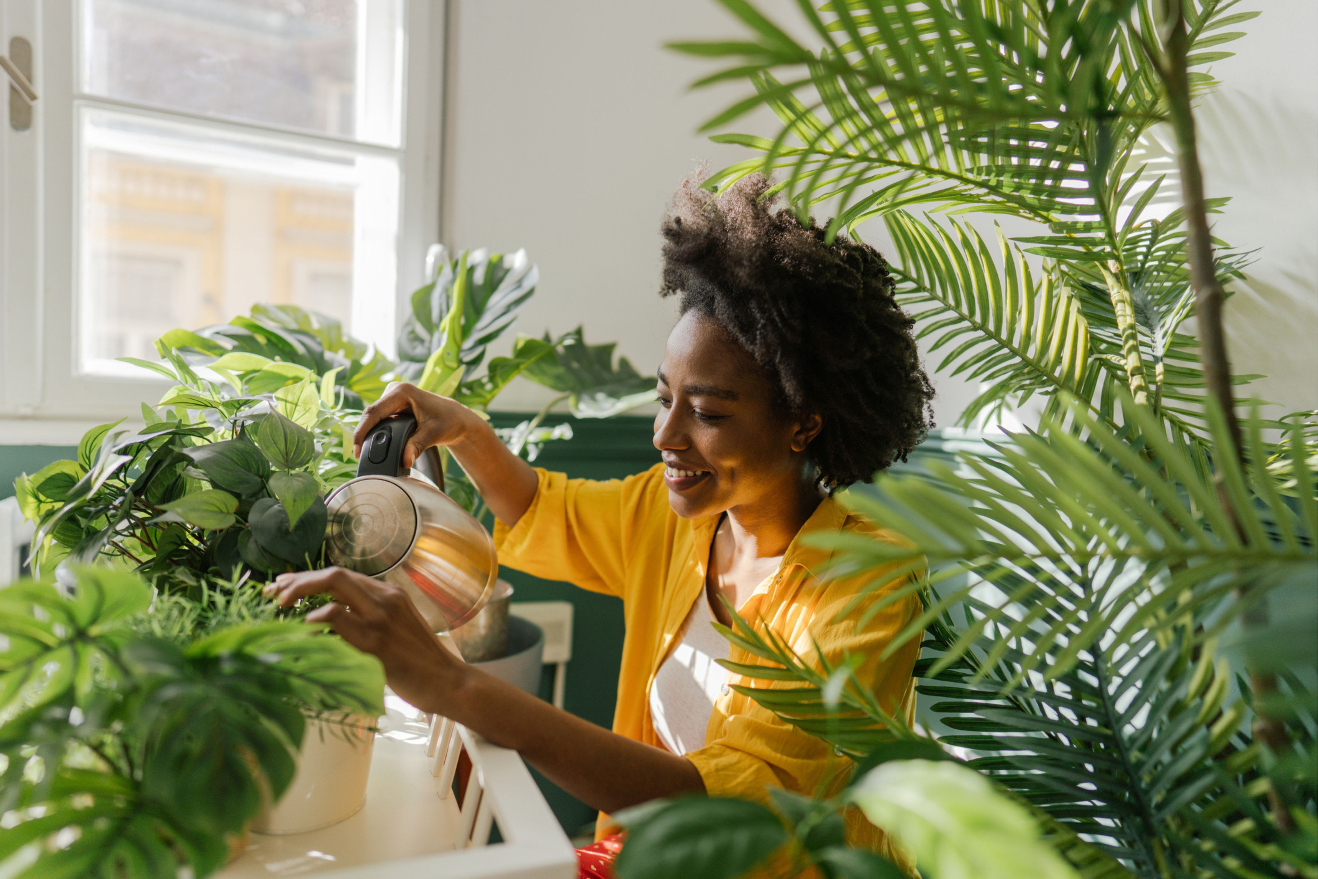 A woman improves her wellness by caring for houseplants in her home.