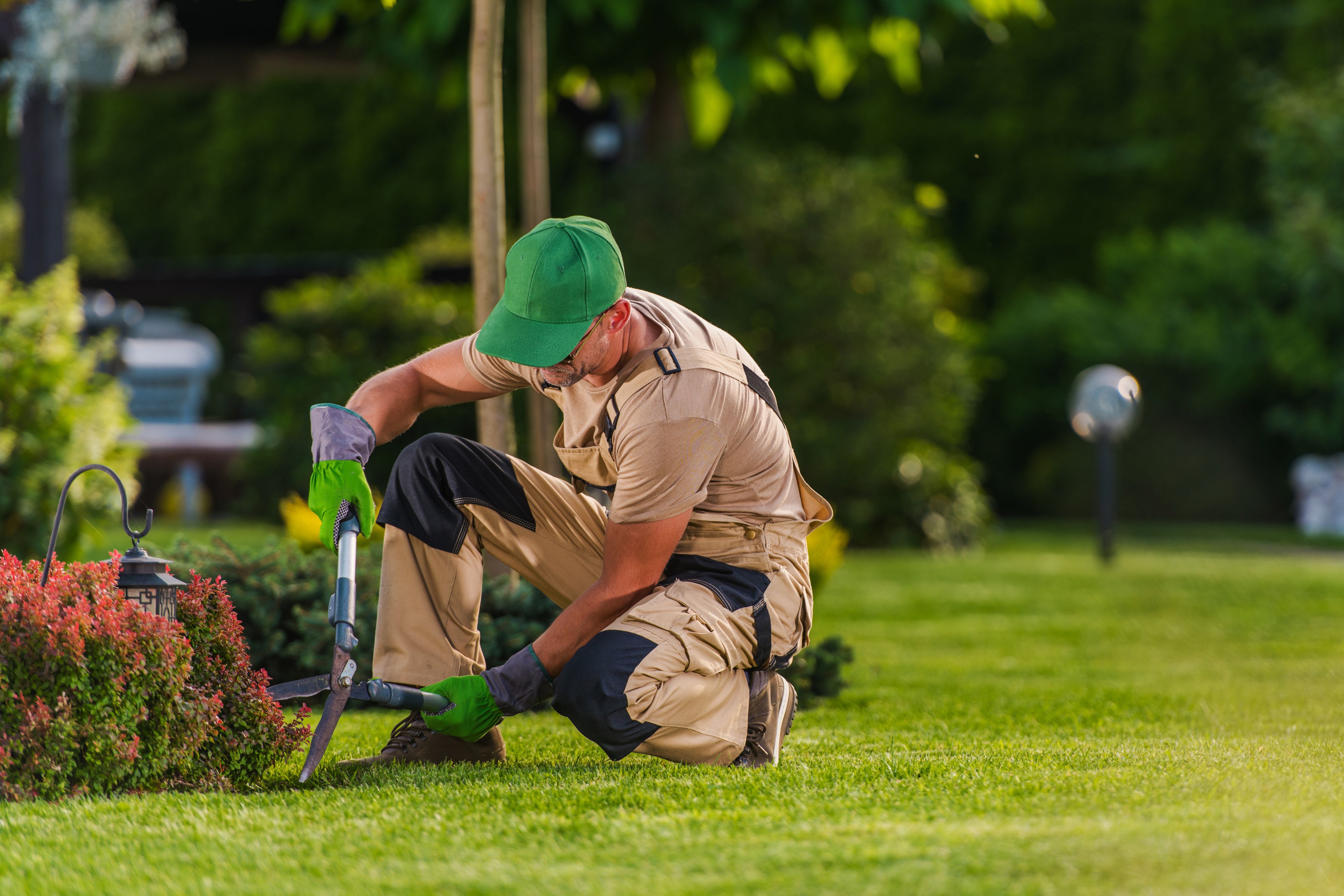 Spring Maintenance To-Do List for Your HOA