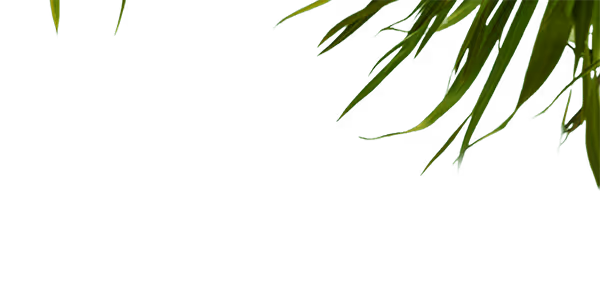 A tree leaf decoration