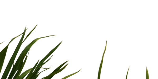 A tree leaf decoration