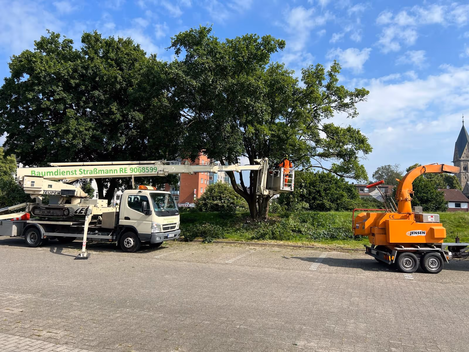 Hubsteigerarbeiten an einem Baum