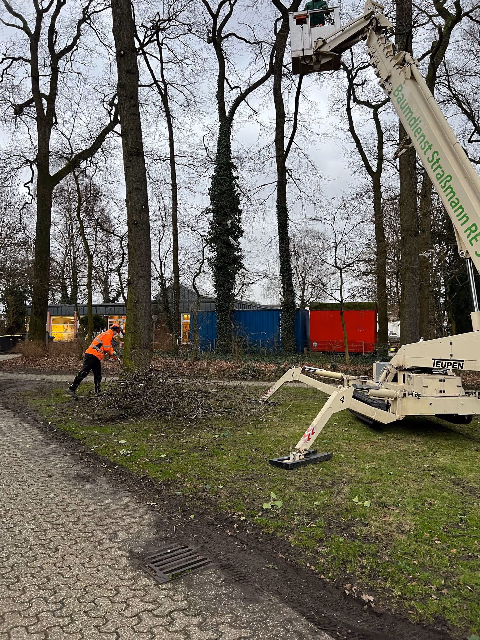 Baumdienst mit Hubsteiger
