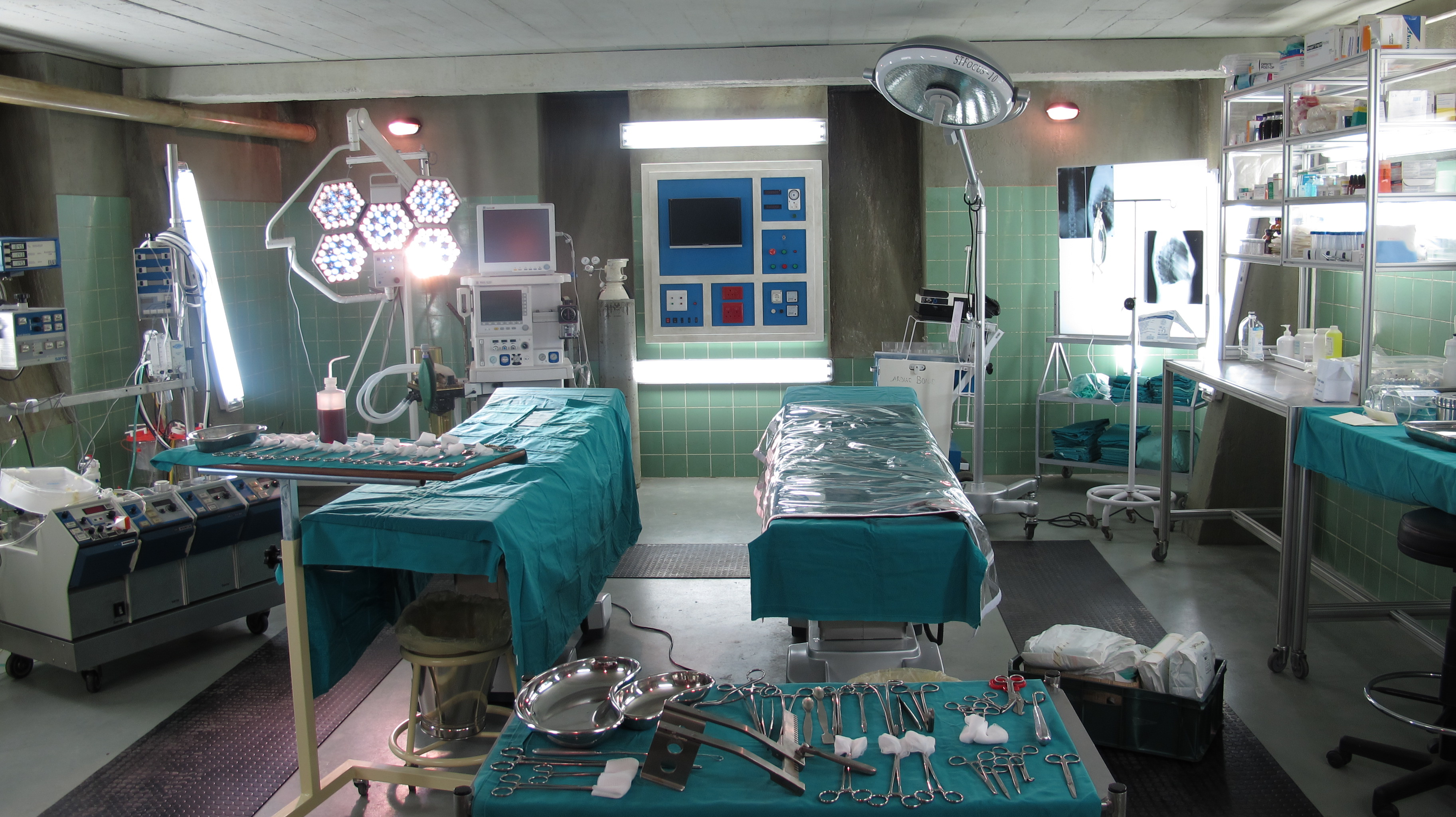 Flight of the Storks