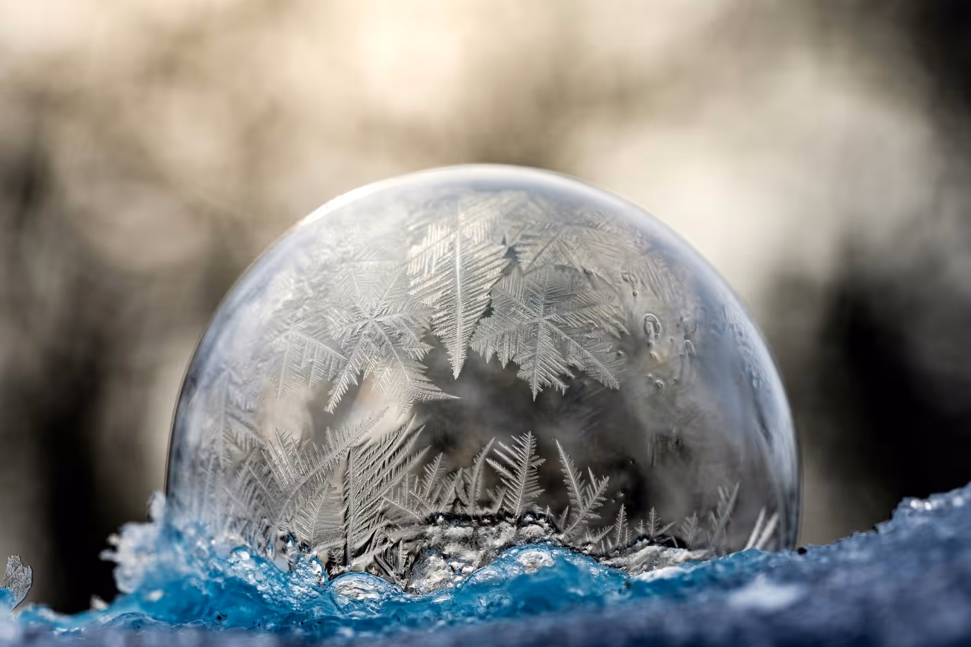 A close-up of a frozen soap bubble resting on a snowy surface, featuring intricate ice crystal patterns forming delicate star-like shapes. The background is softly blurred with muted tones, highlighting the bubble's detailed frostwork.