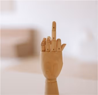 A wooden hand giving the finger.