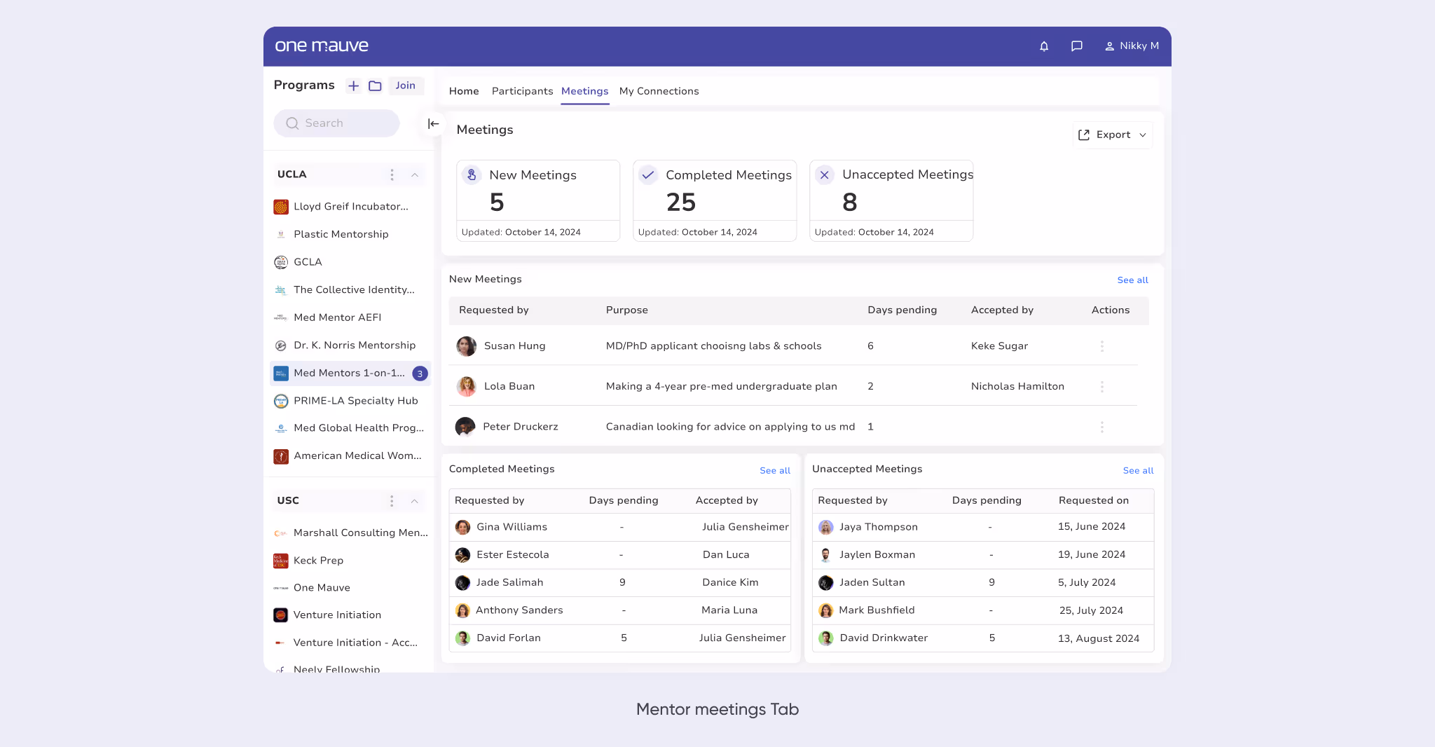 Mentor meetings Tab