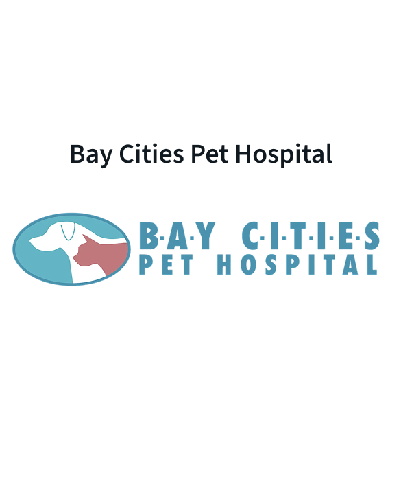 Dermatology for Animals logo