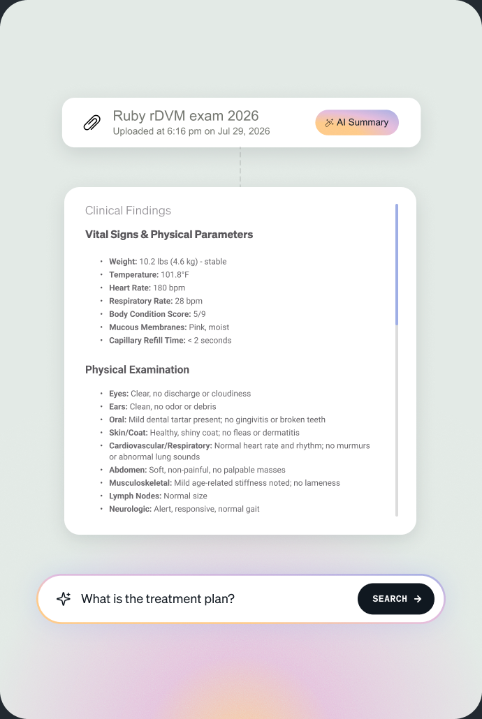 AI PDF Summarization summarizing an uploaded referral record