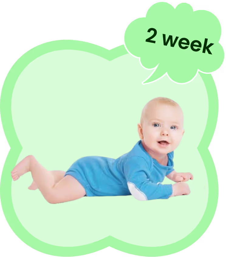 Toddler with speech bubble saying 2 week