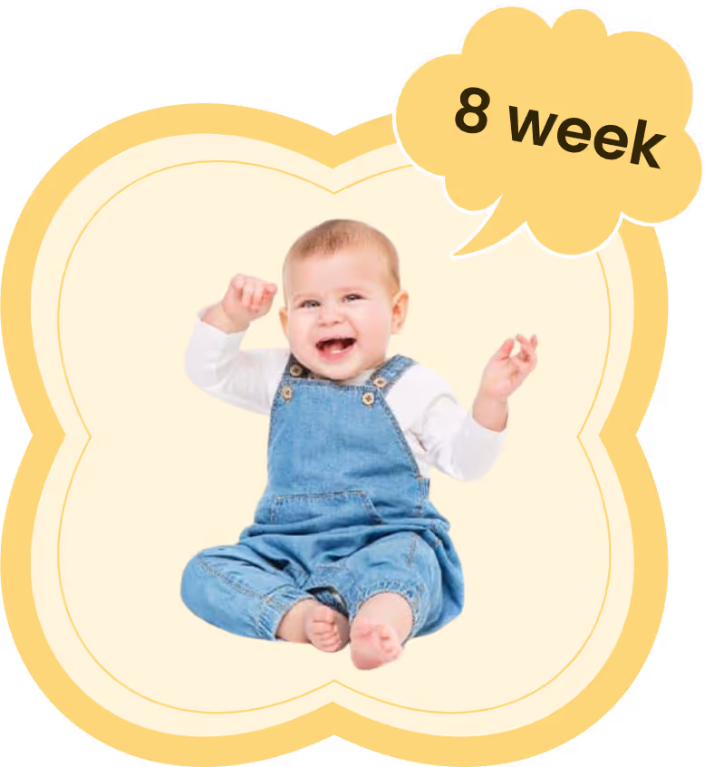 Toddler with speech bubble saying 8 week