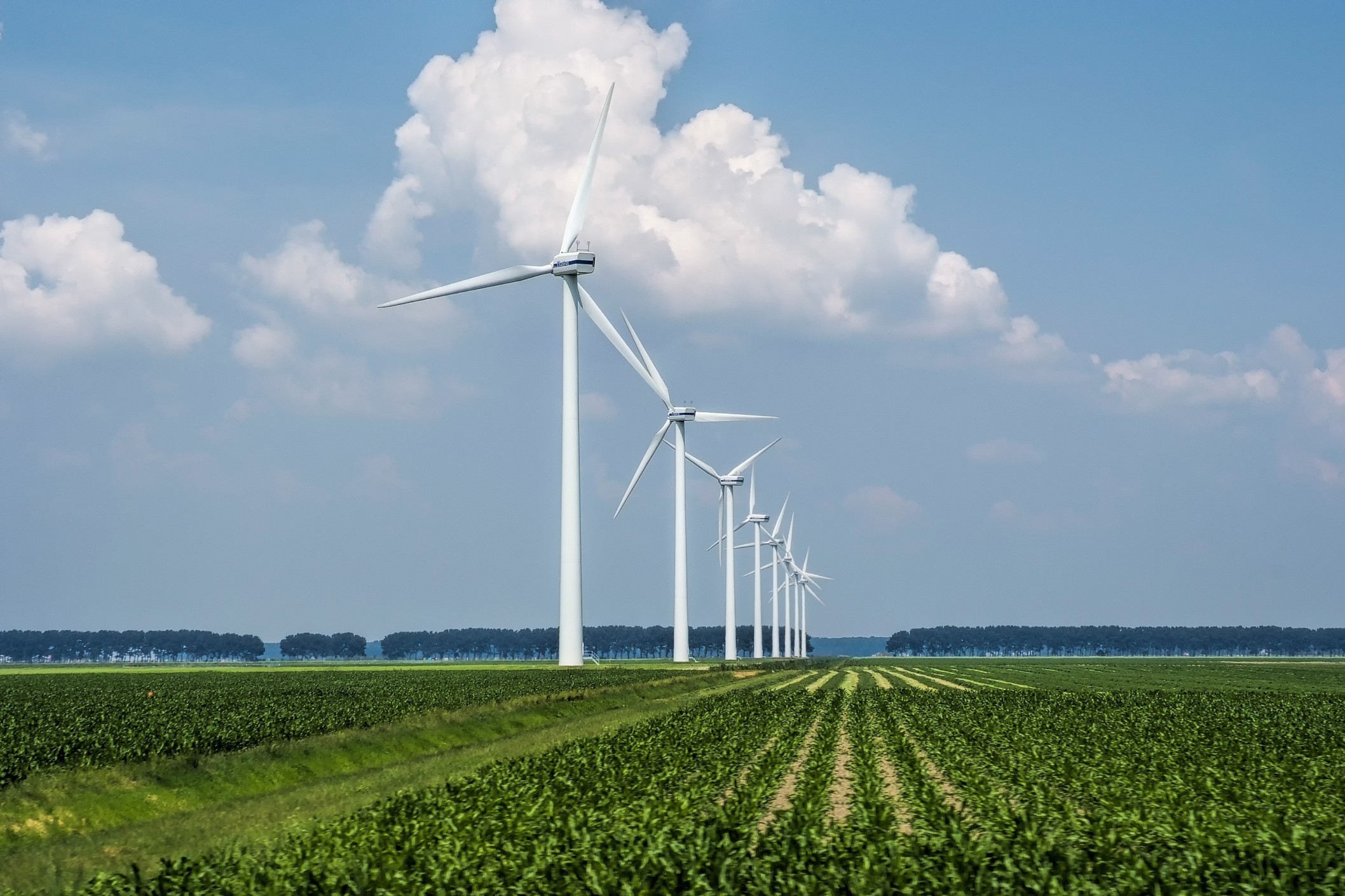 Wind Energy Project