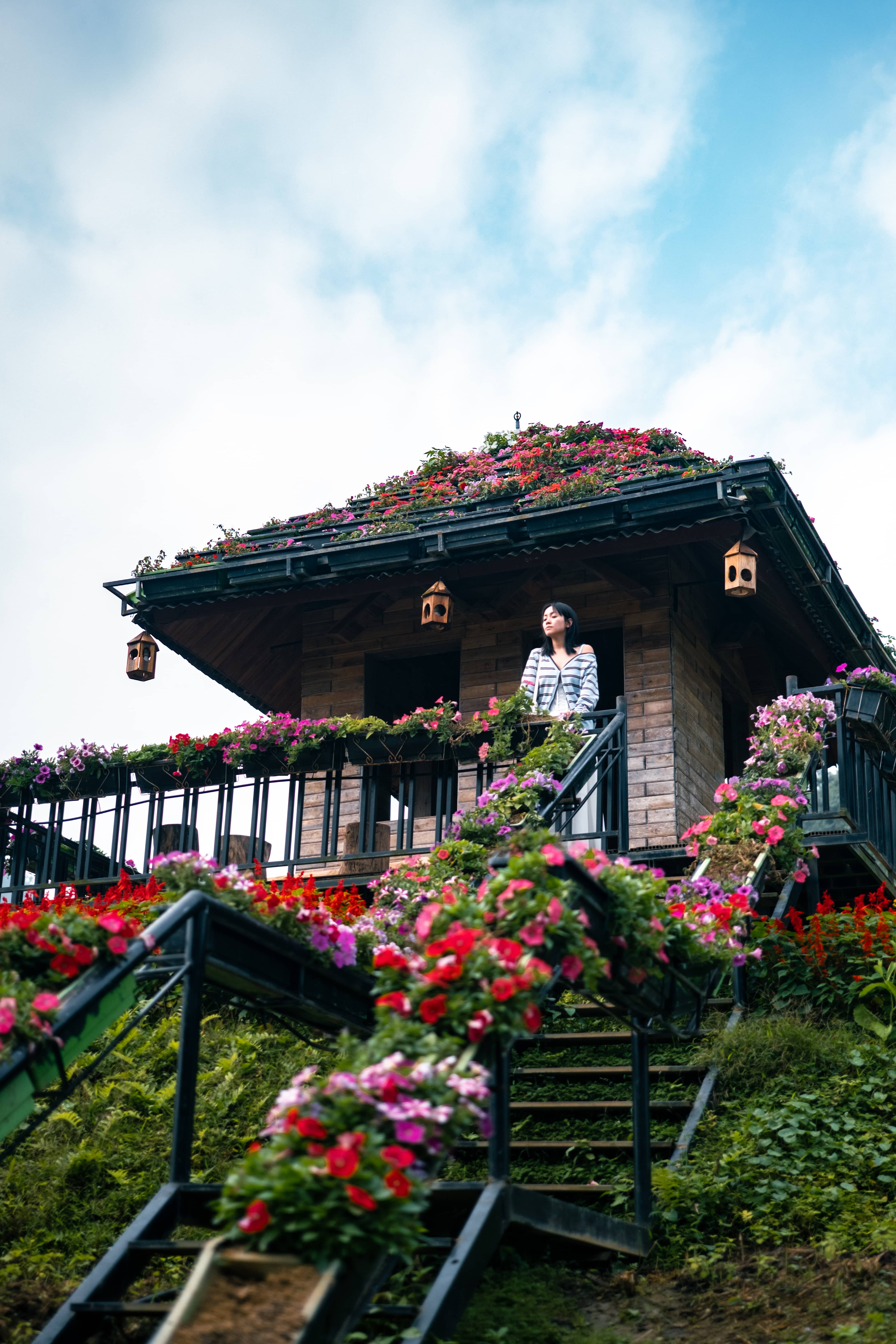 Woman on the balcony of a wooden hut with a flower-covered roof, steps lined with red and pink blooms