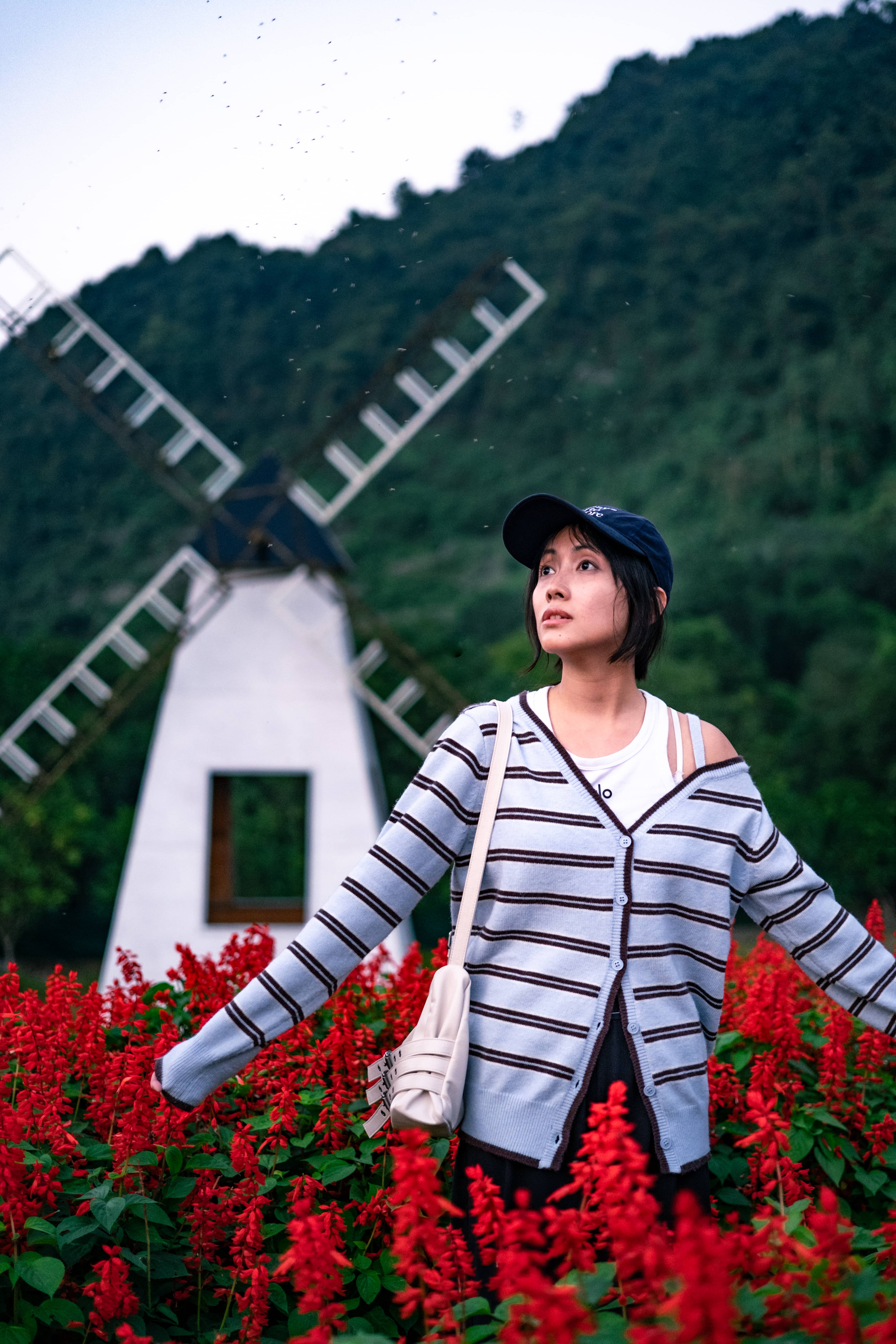 Woman in a striped cardigan and cap with arms outstretched among red flowers beside a white windmill