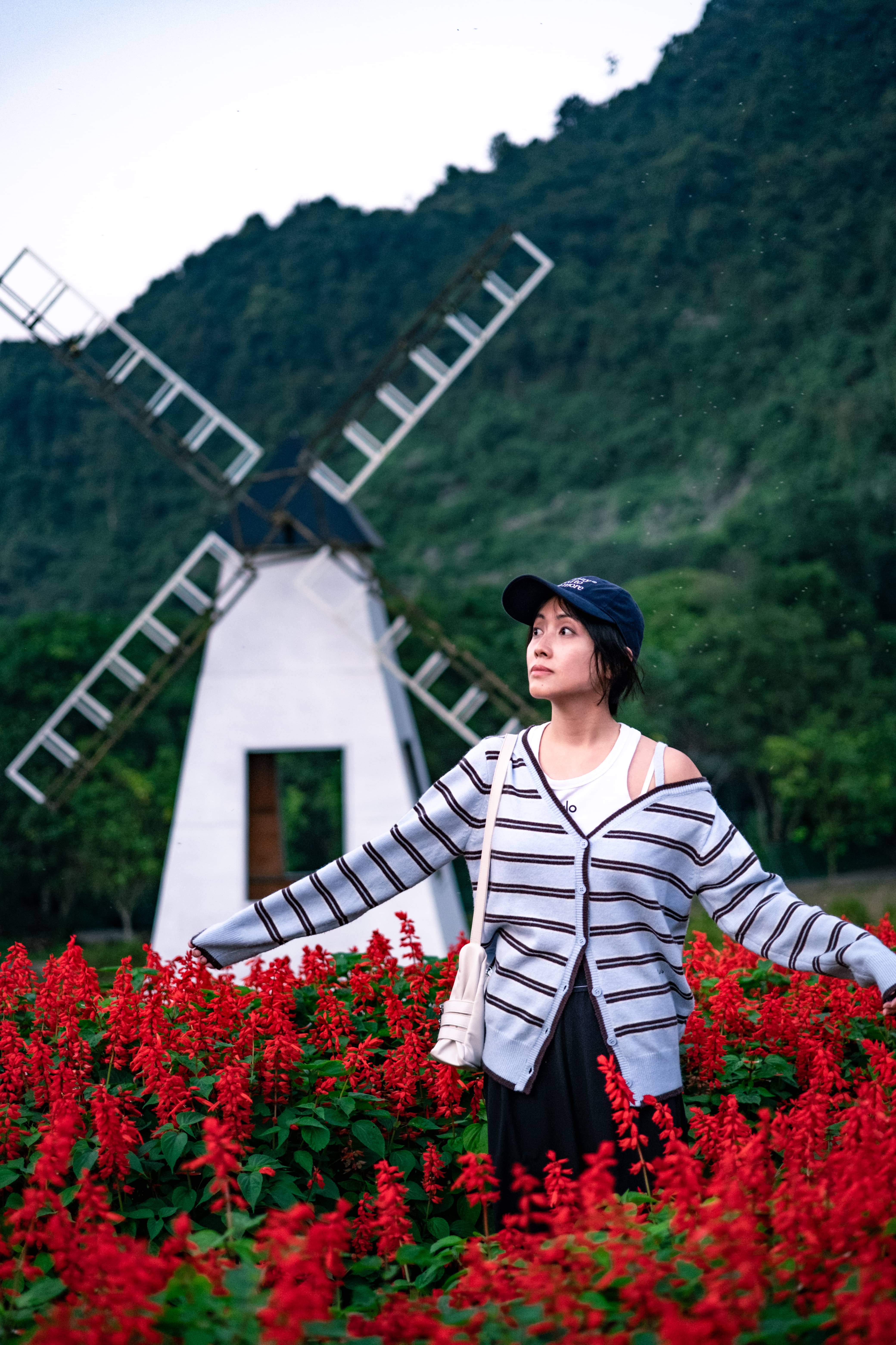 Woman in a cap and striped cardigan with arms outstretched in a field of red flowers before a white windmill and forested hill