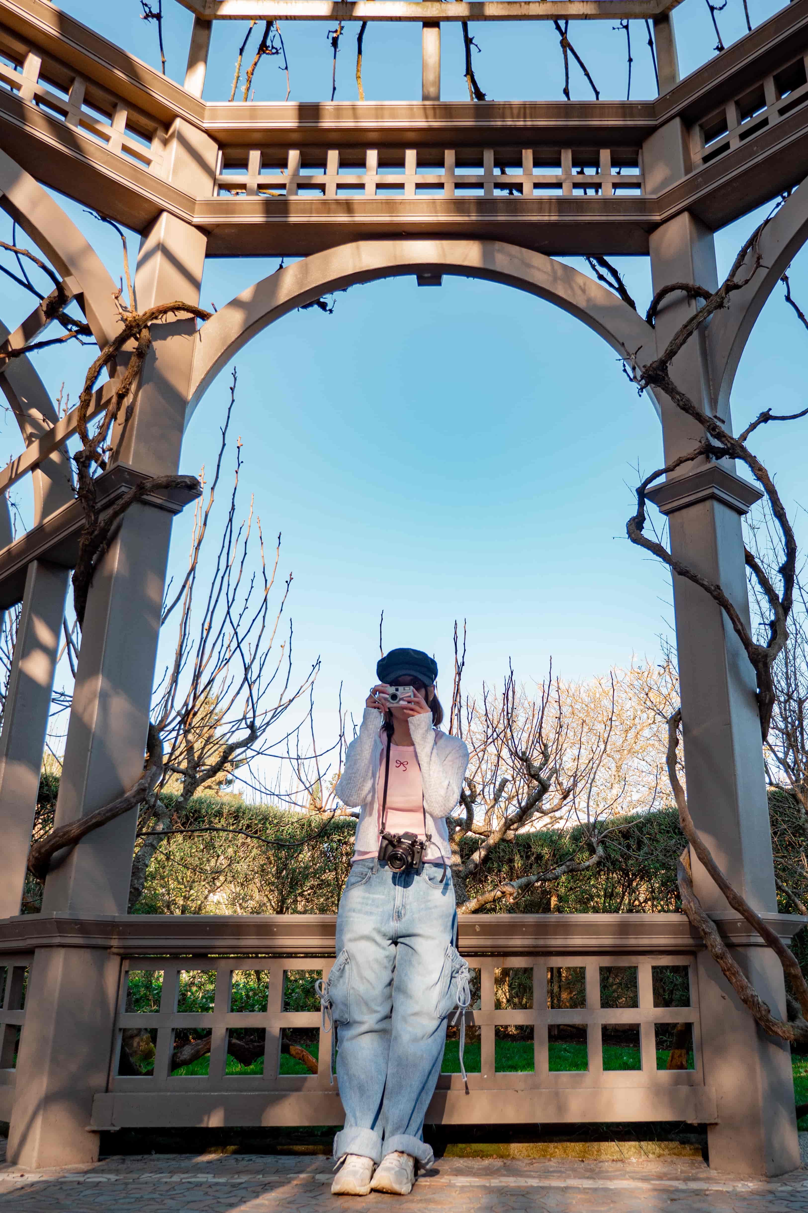 Woman taking a photo beneath an octagonal timber pergola twined with bare vines, Hamilton Gardens