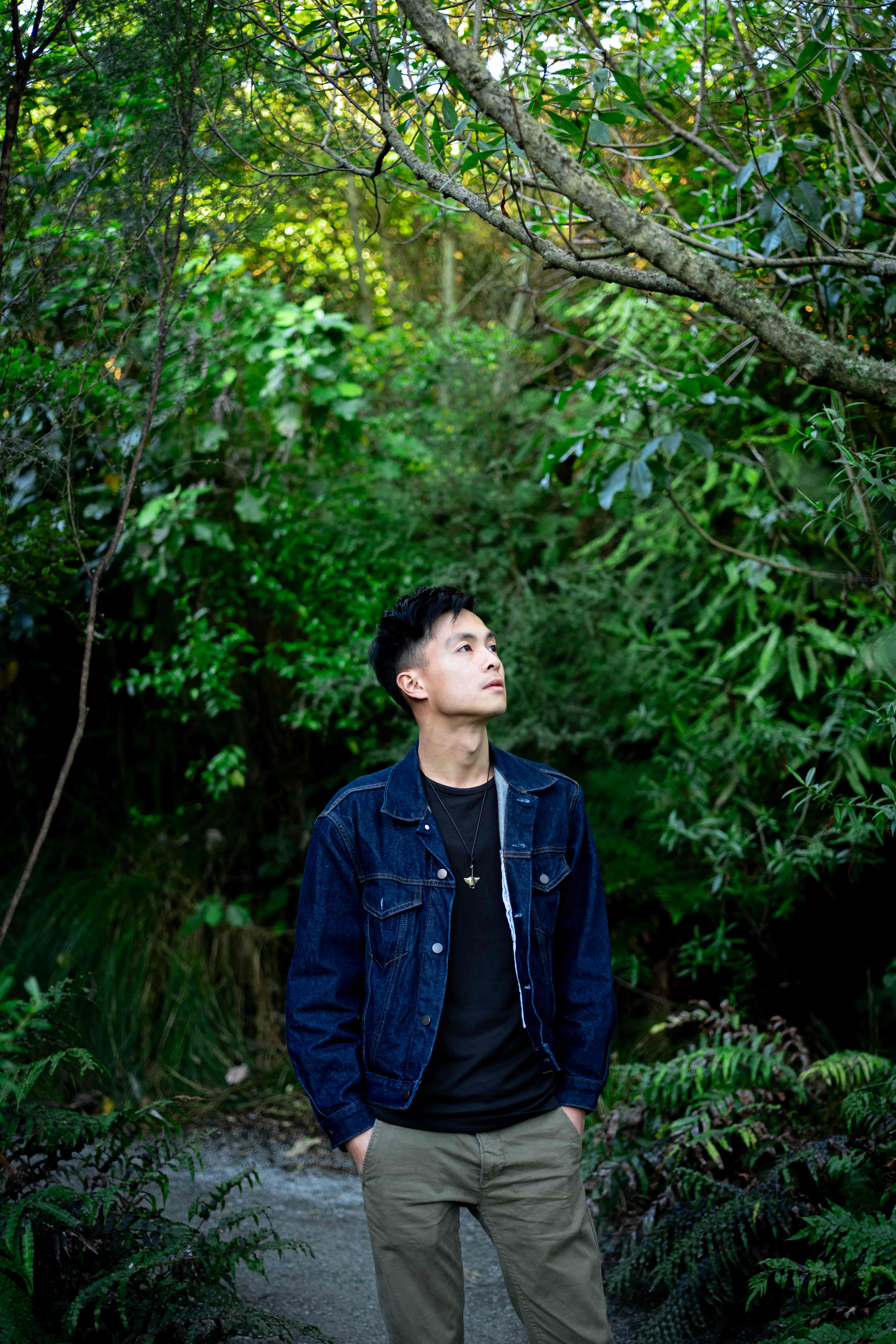 Man in a denim jacket looking up at a lush canopy of native bush along a garden path