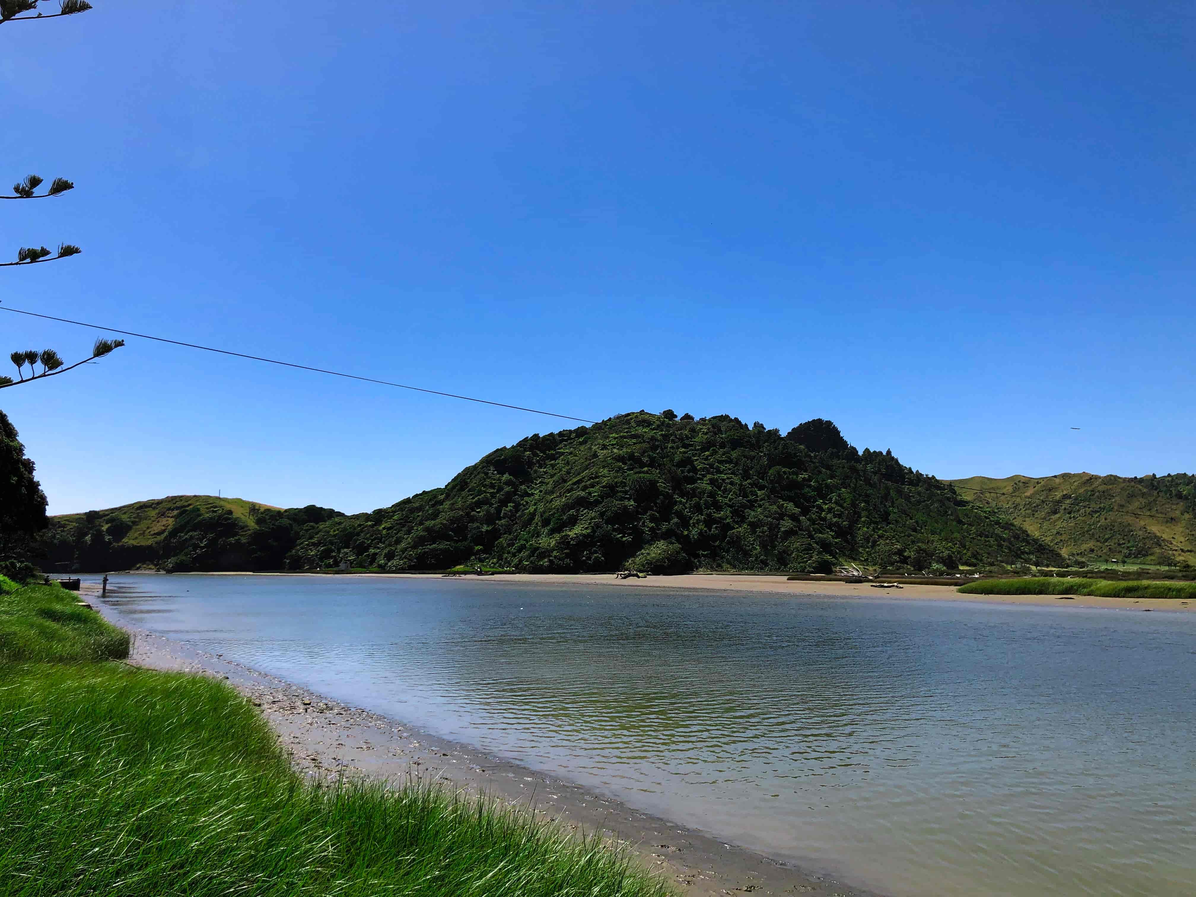 Calm river estuary curving past a grassy bank toward bush-covered hills under a clear blue sky