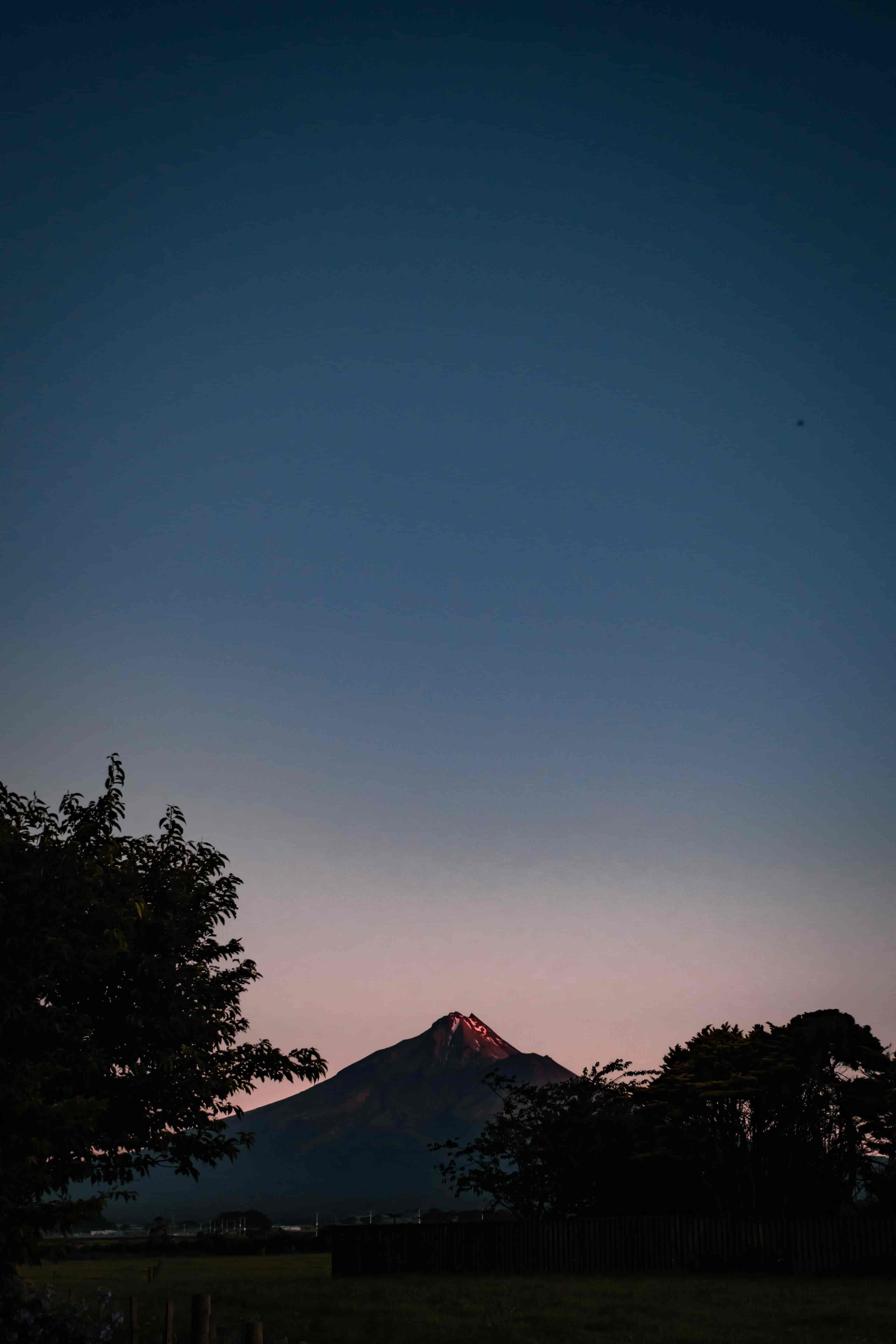 Peak of Mount Taranaki catching the last light between silhouetted trees at twilight