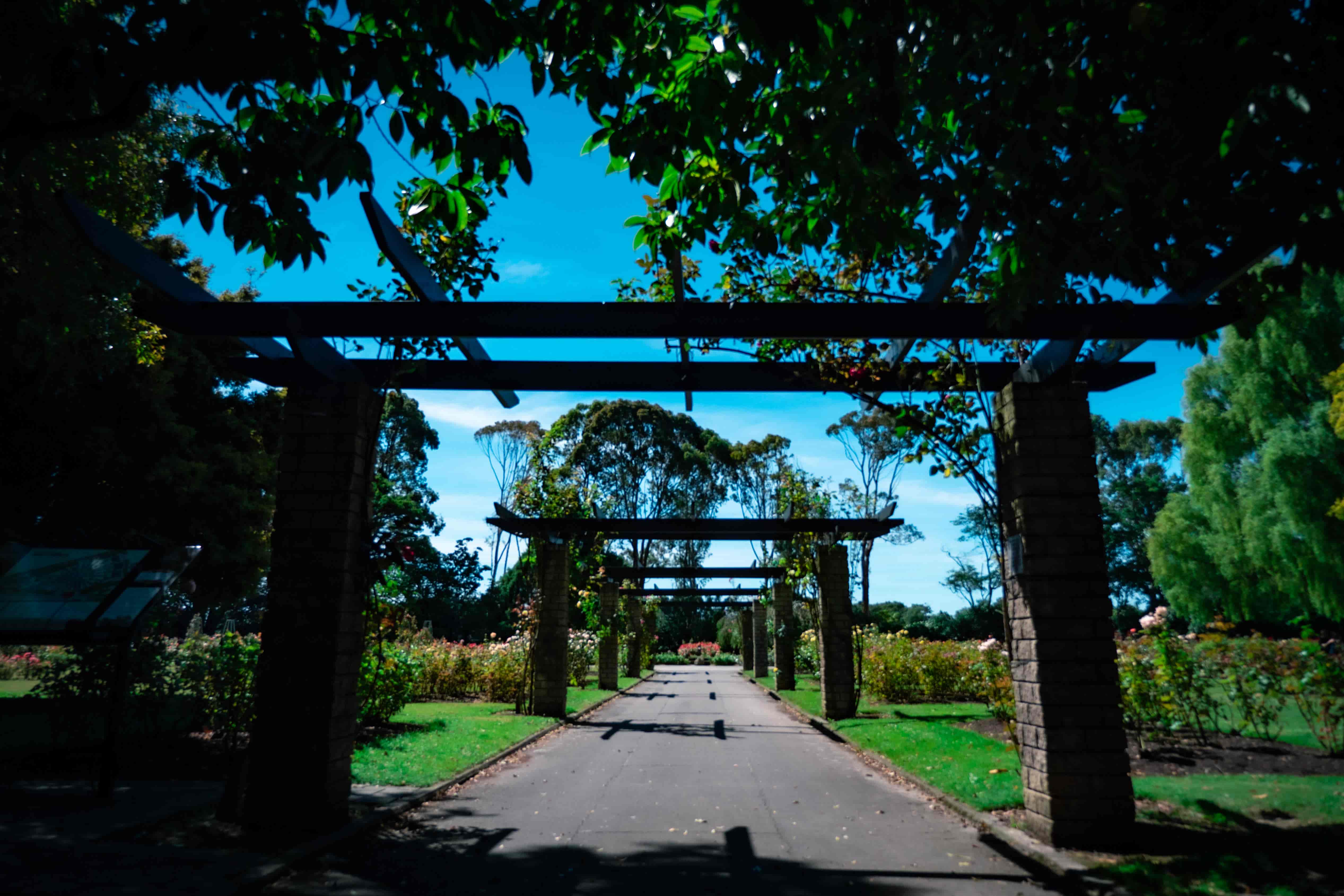 Paved path running through a series of timber pergolas toward a garden under blue sky