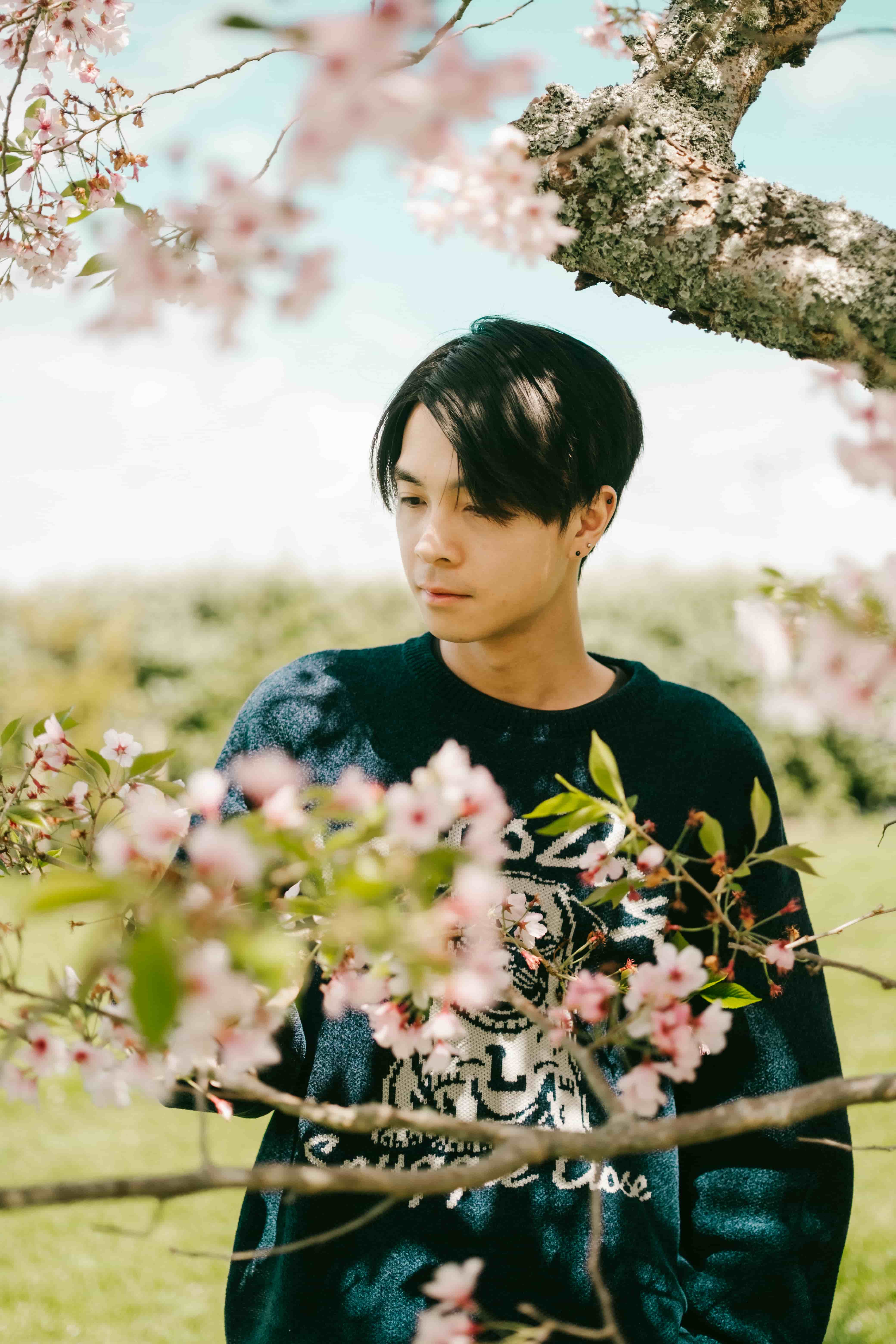 Young man in a navy dog-print sweater looking down through a branch of pink cherry blossom