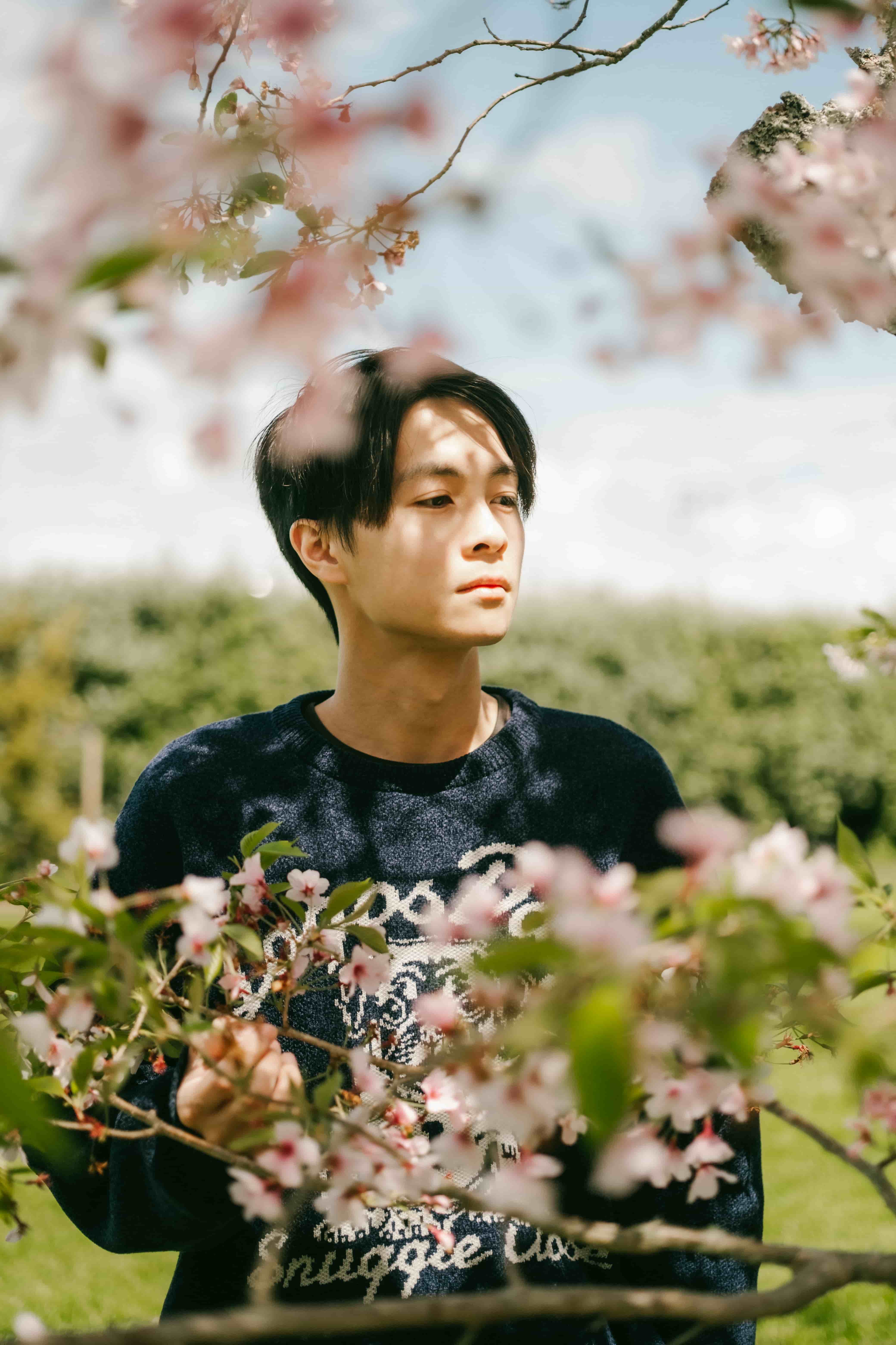 Young man in a navy knit sweater framed by pink cherry blossom, gazing to the side under a blue sky