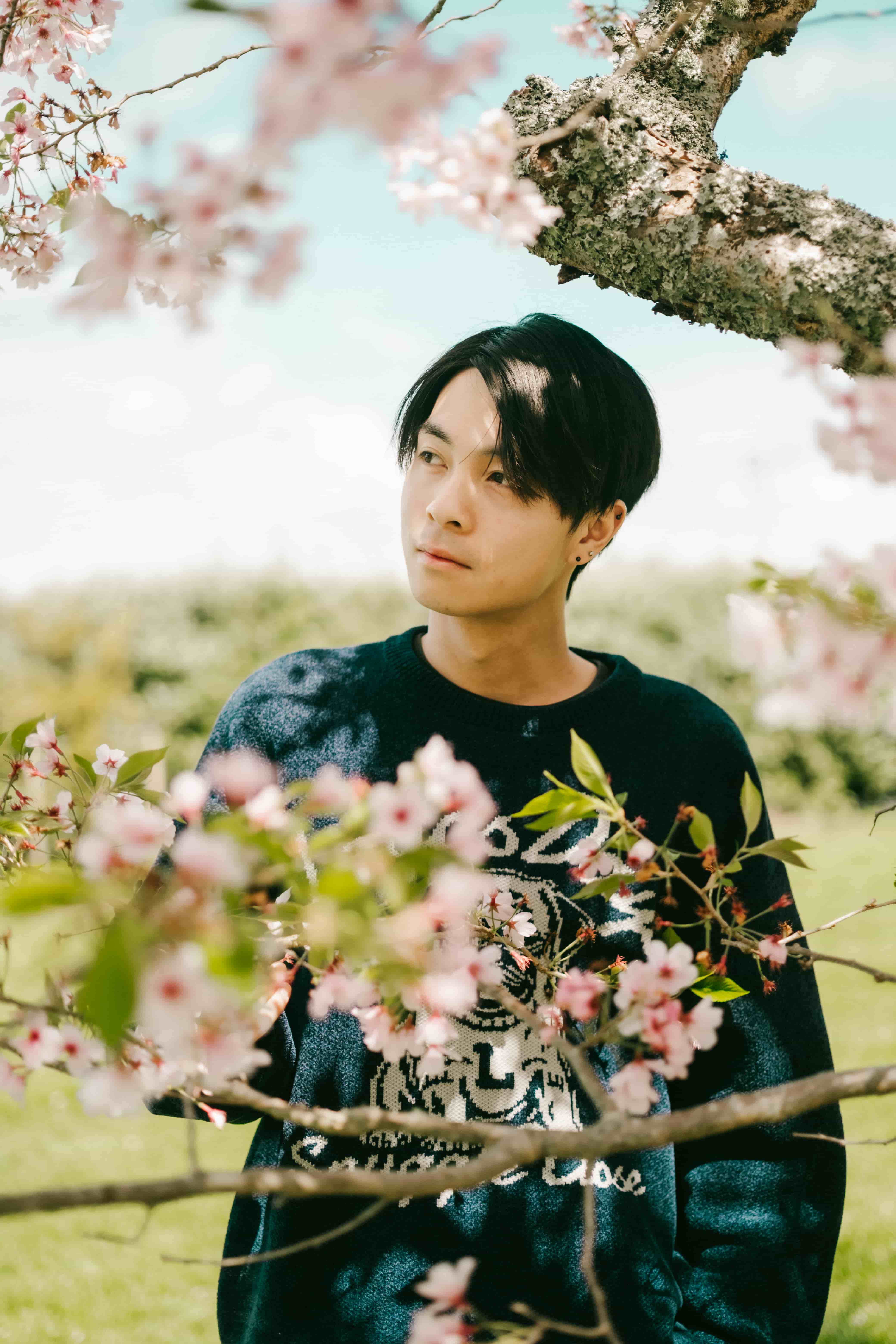 Young man in a navy sweater glancing sideways between cherry blossom branches on a sunny day