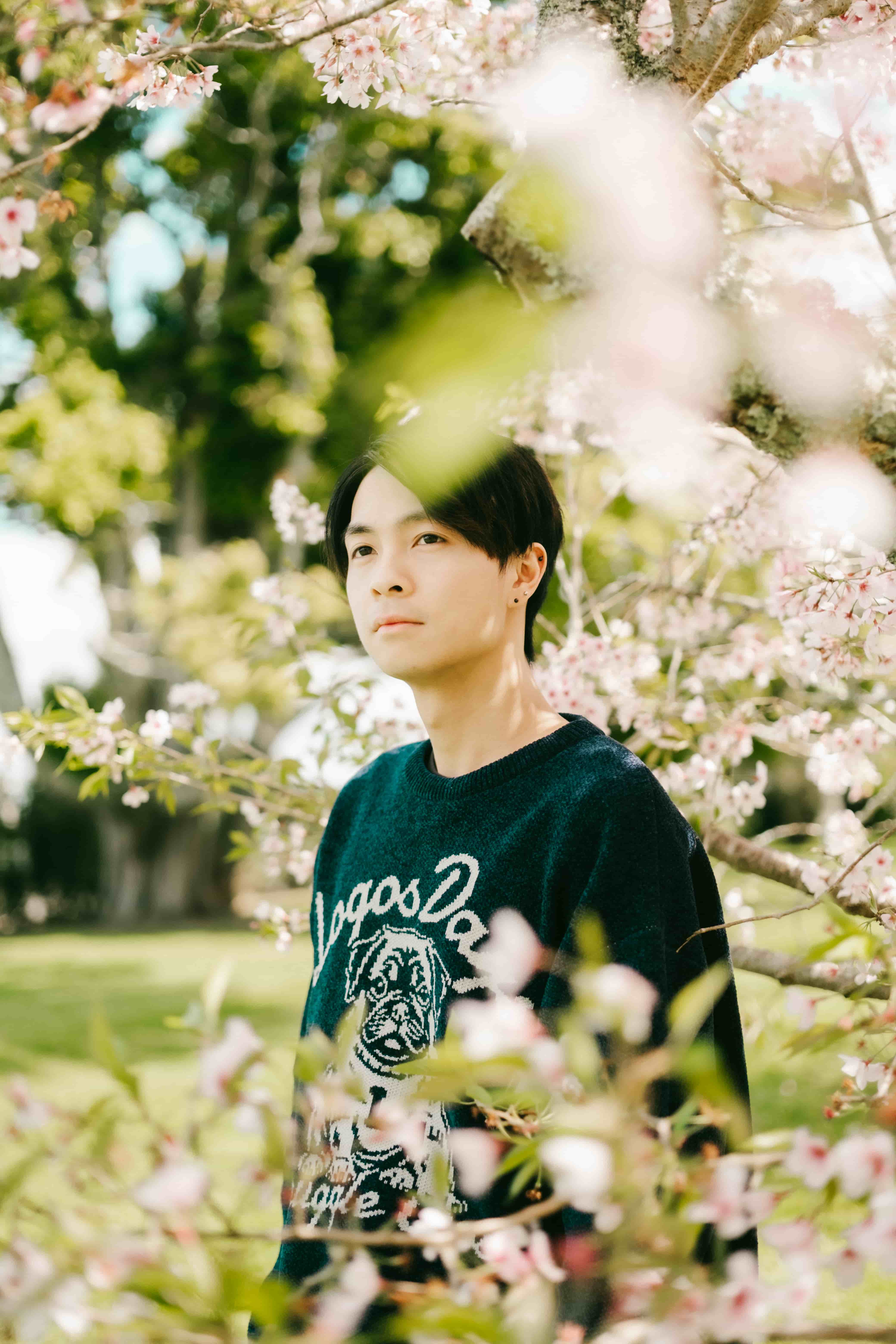 Young man in a navy sweater standing among cherry blossom and fresh green leaves in a park
