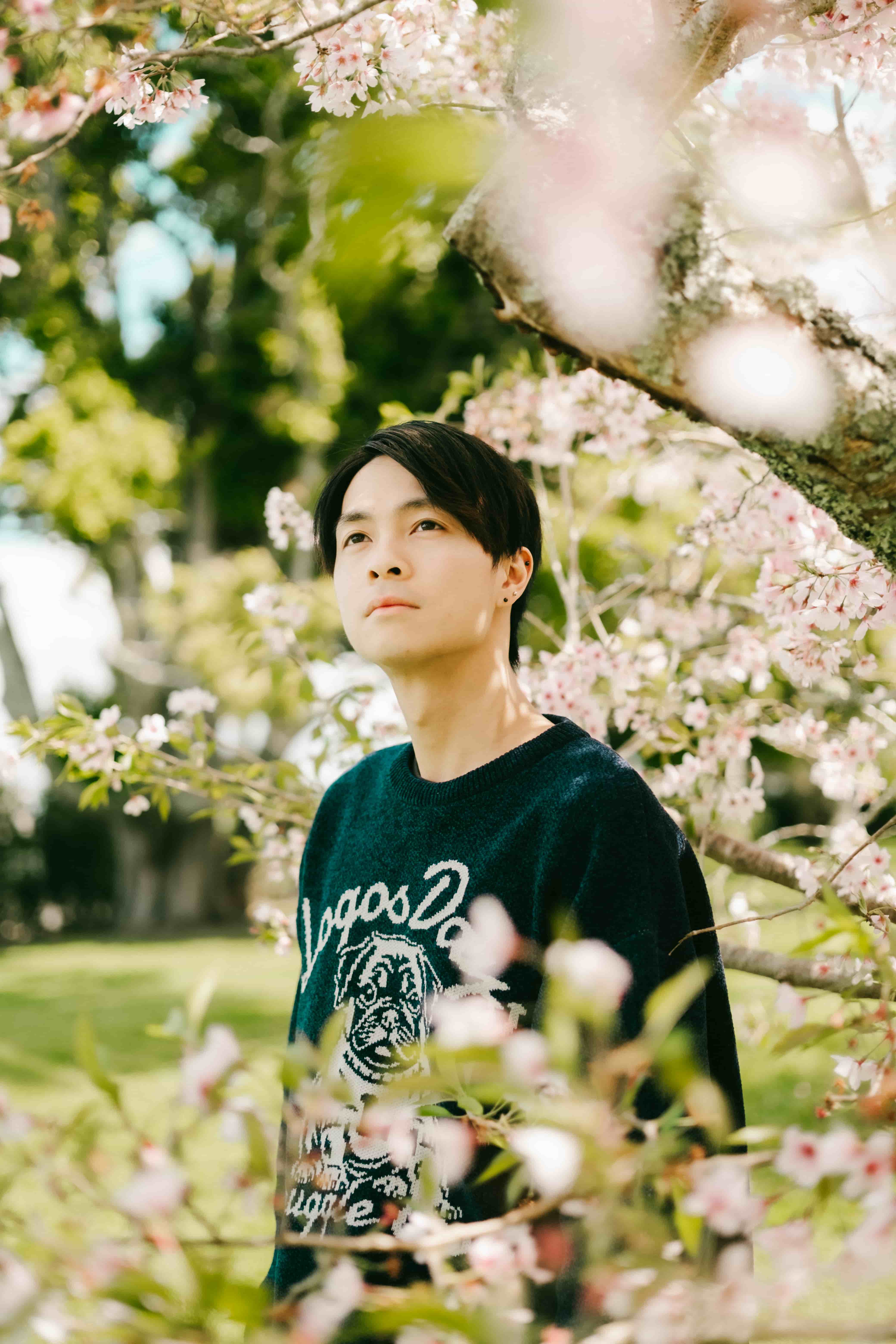Young man in a navy dog-print sweater gazing upward through pink blossom and green trees