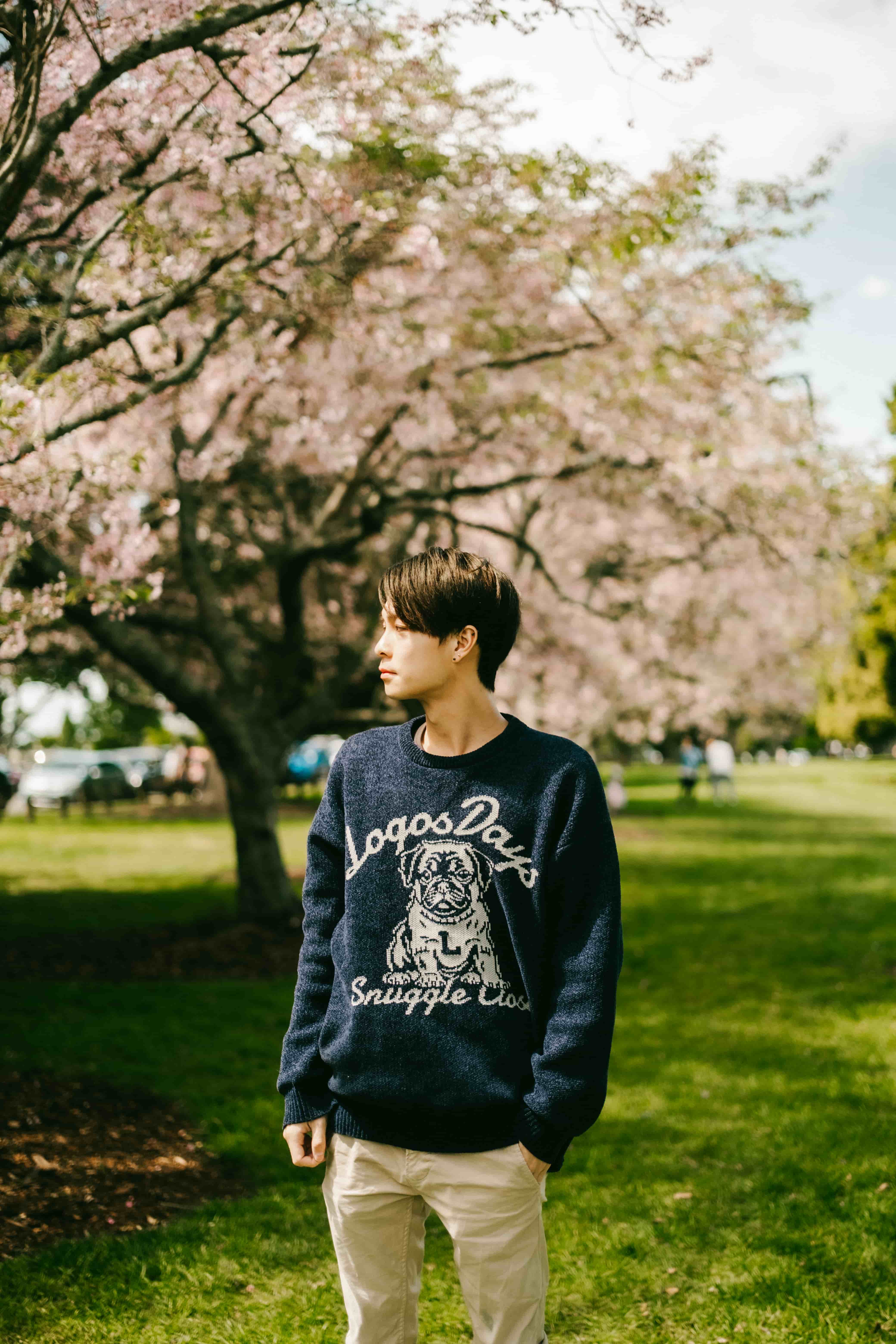 Young man in a navy sweater and beige trousers looking across a park lined with cherry blossom trees