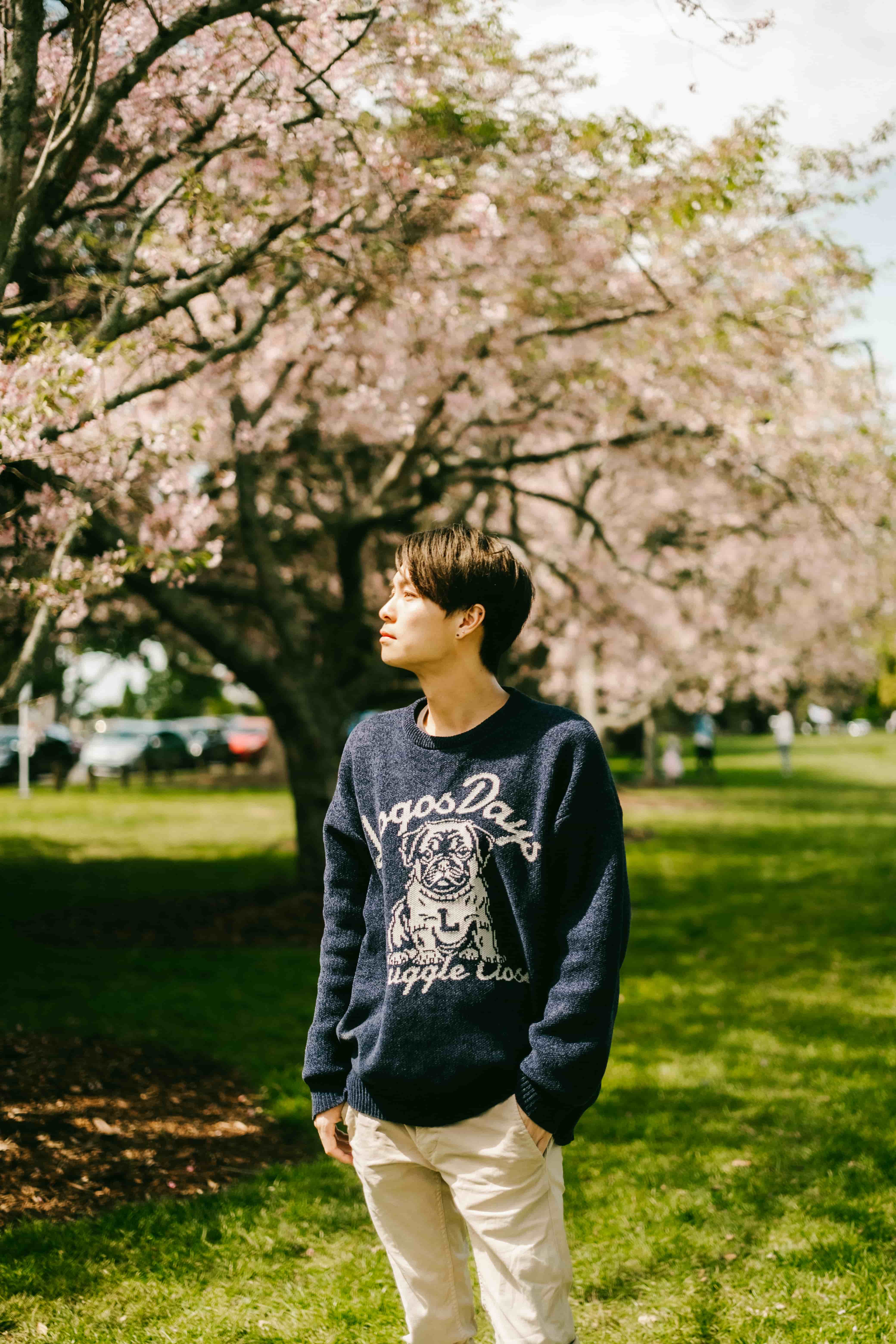 Young man in a navy sweater standing on sunlit grass under a wide cherry blossom tree