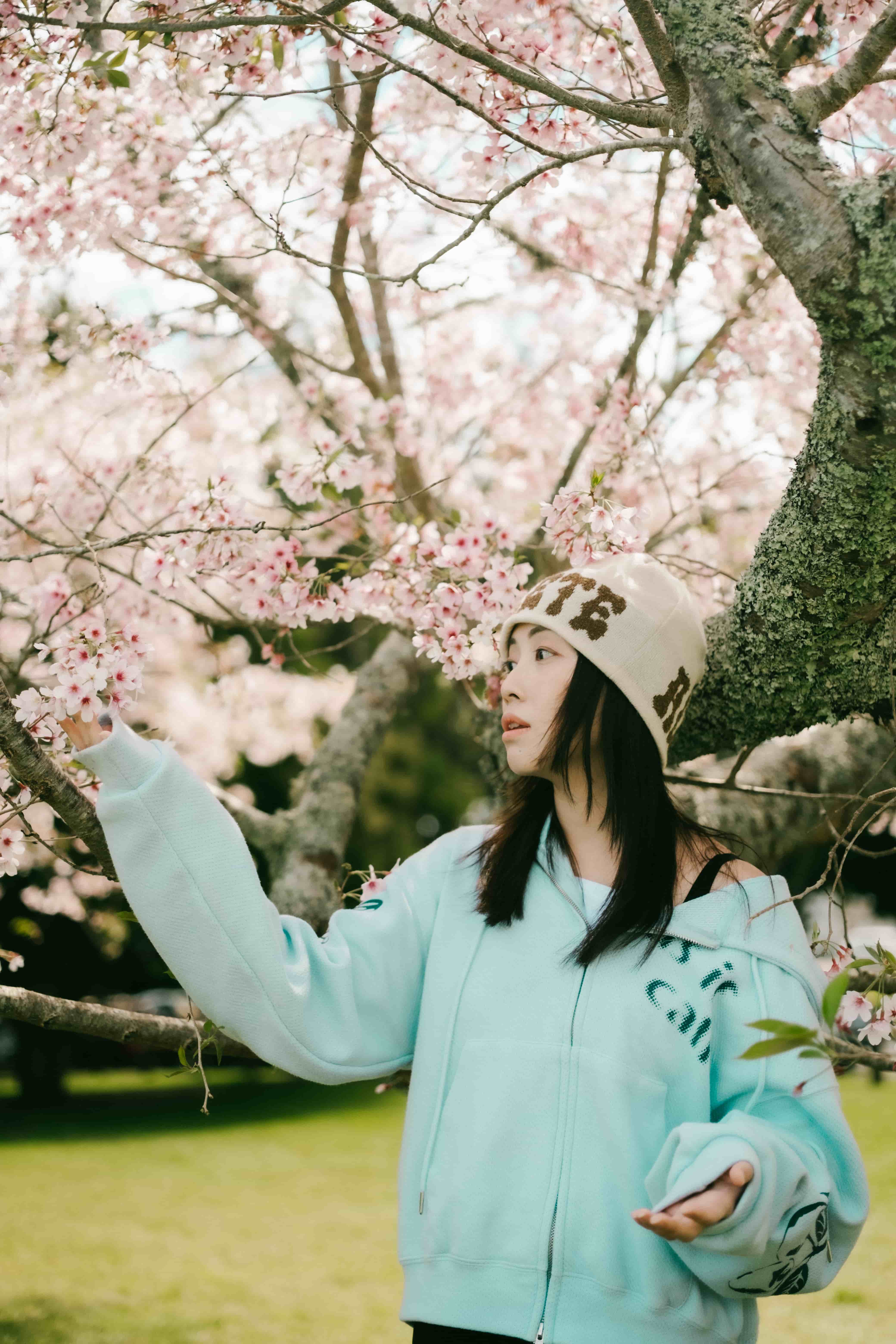 Young woman in a mint hoodie reaching up to touch a flowering cherry blossom branch