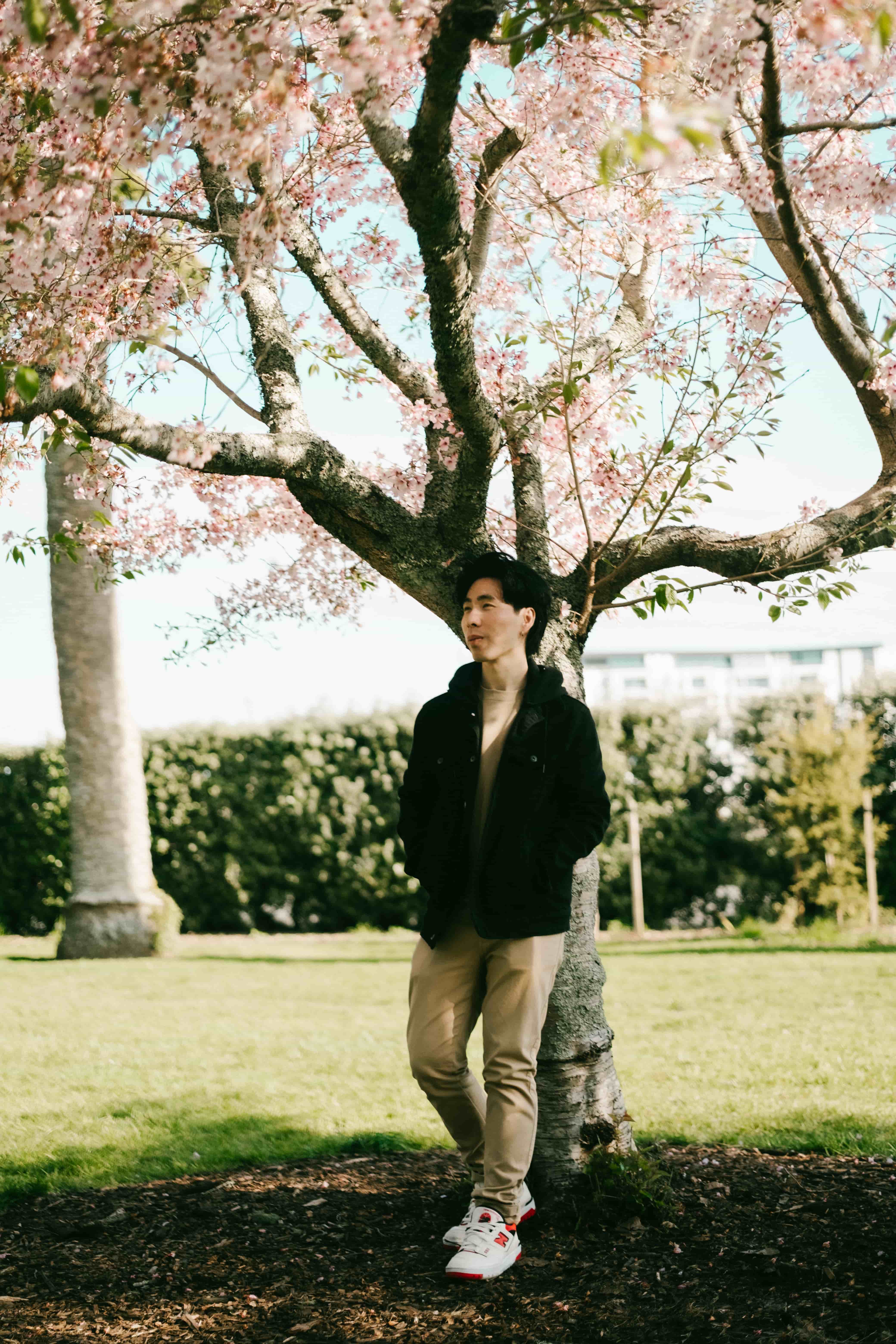 Young man in a black jacket and beige trousers walking under a cherry blossom tree