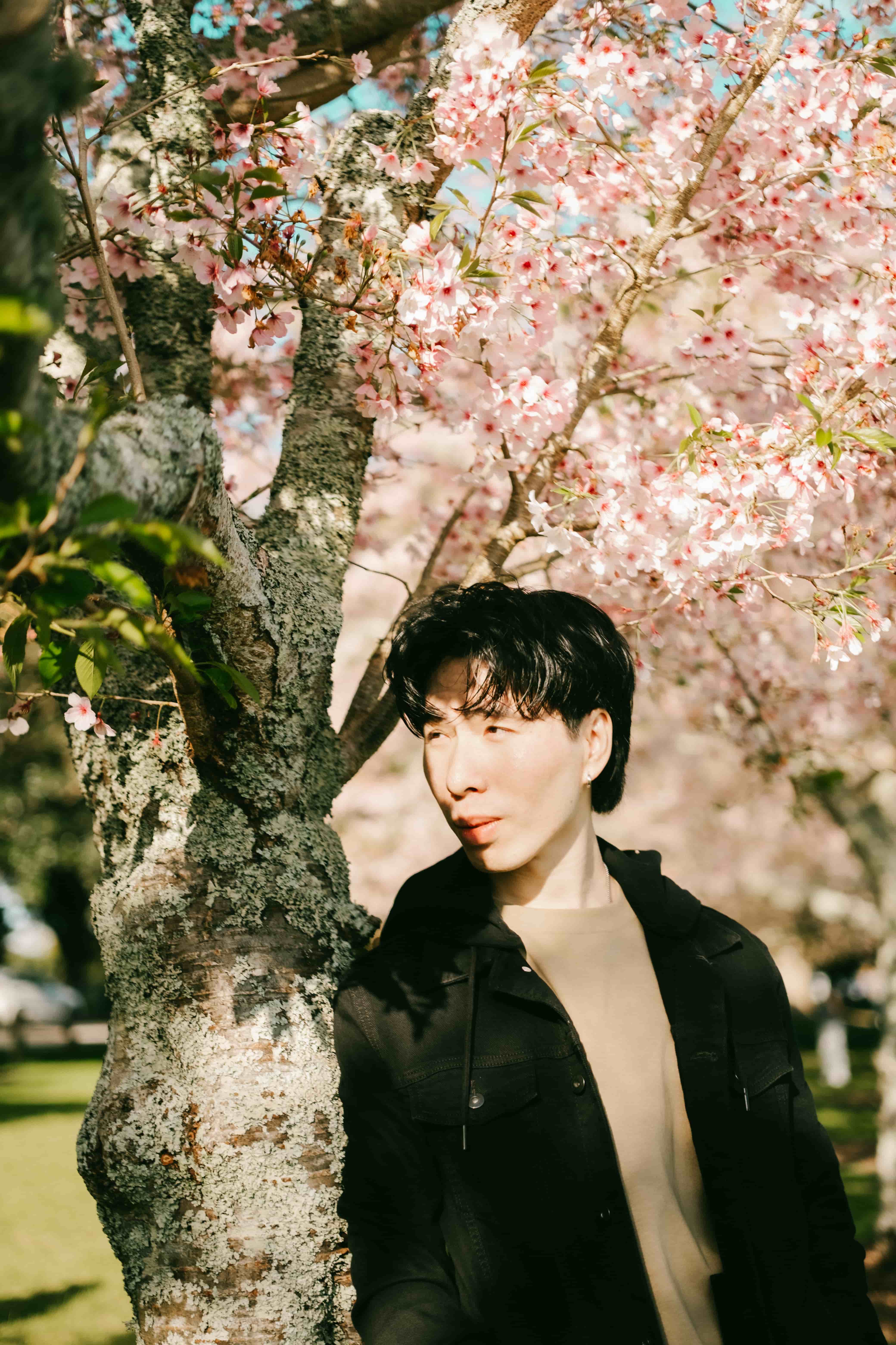 Young man in a black jacket beside a cherry blossom trunk, looking away in warm sunlight