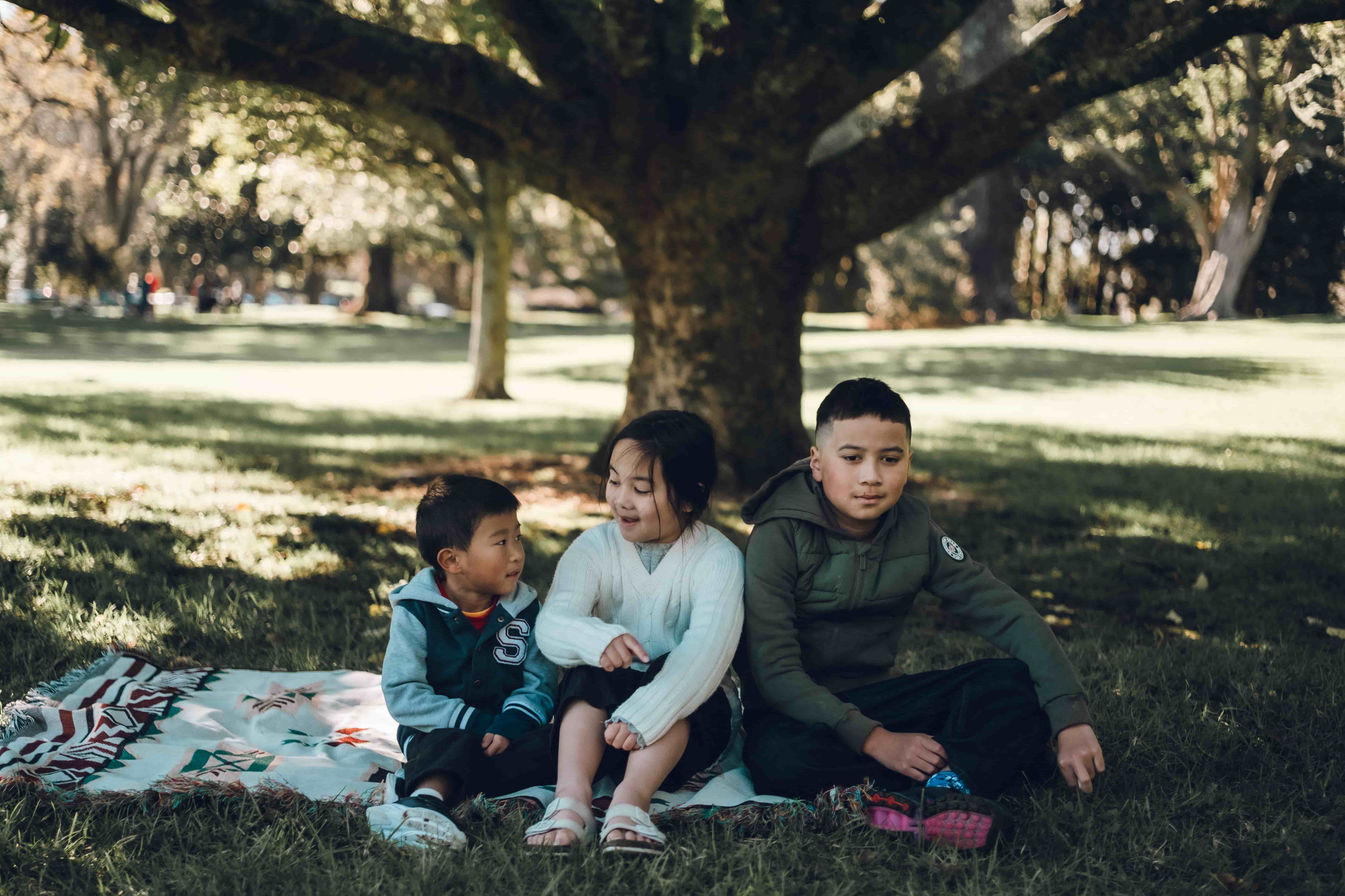 Three cousins sitting on a picnic blanket under a large tree