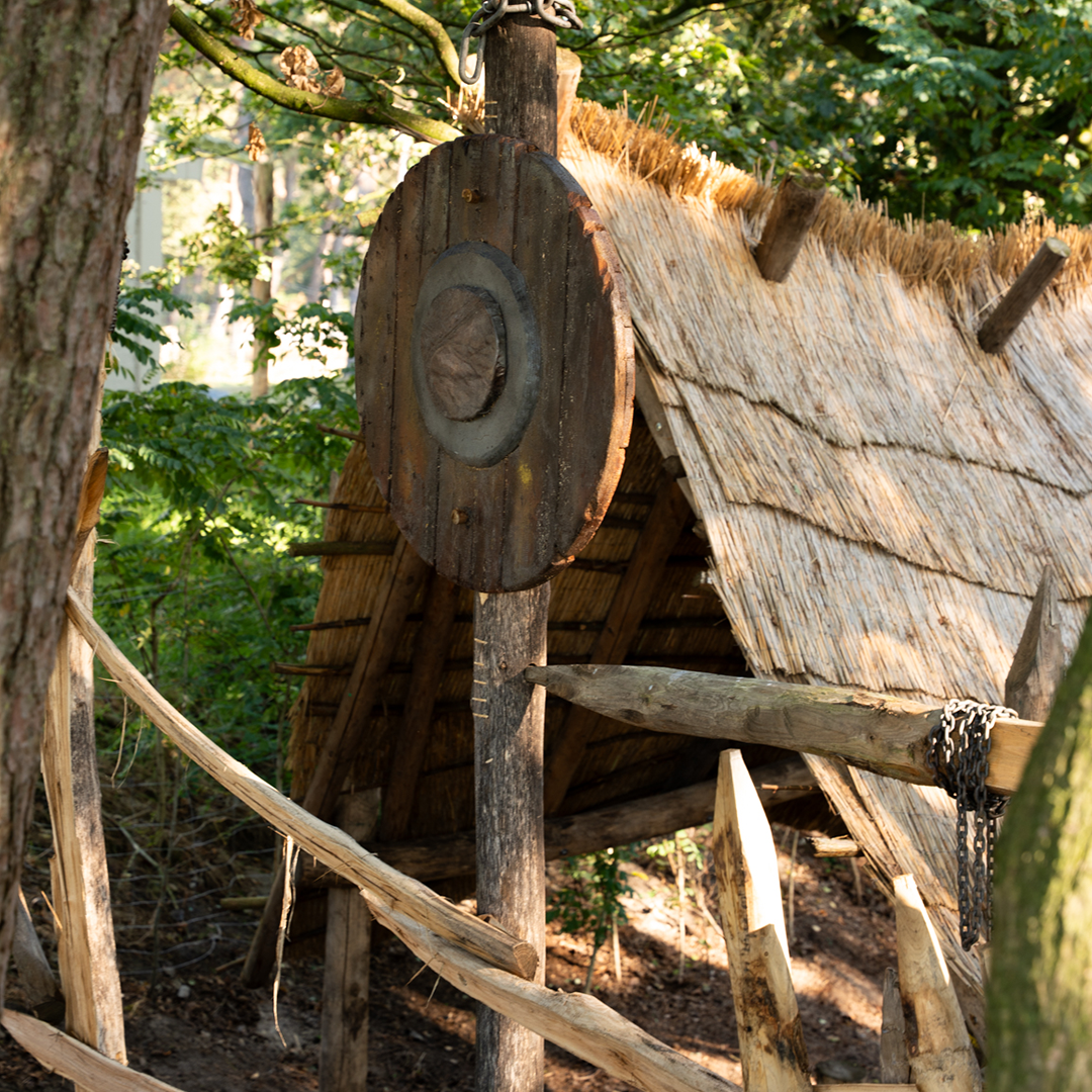 Viking thema