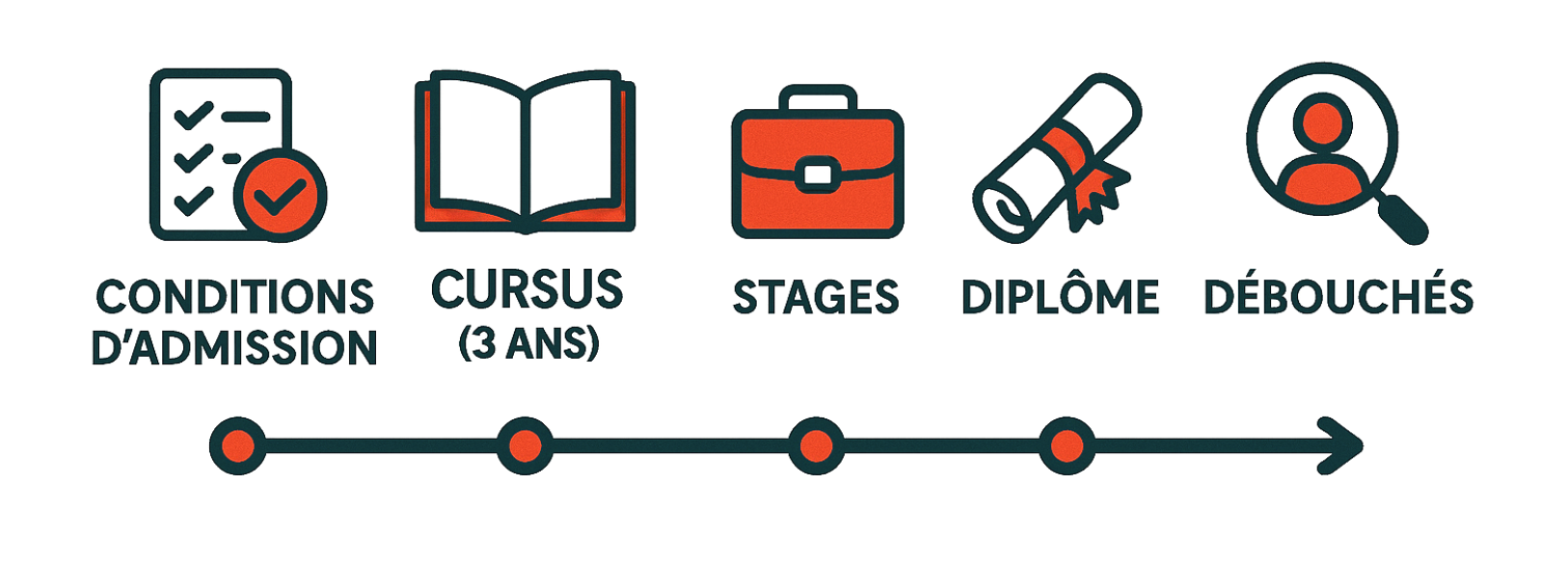 -visuel : Frise chronologique du parcours de formation Étapes : Conditions d’admission → Cursus (3 ans) → Stages → Diplôme → Débouchés