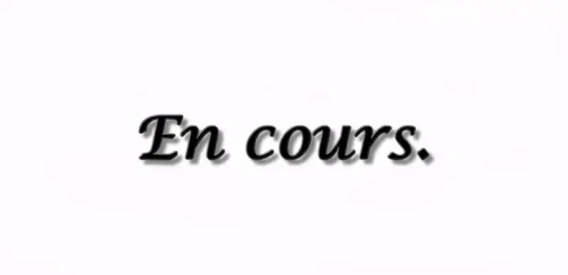 "En cours"