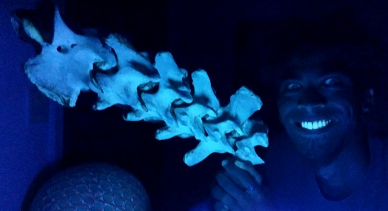 Bande dessinée me présentant en me suivant pendant un dépannage