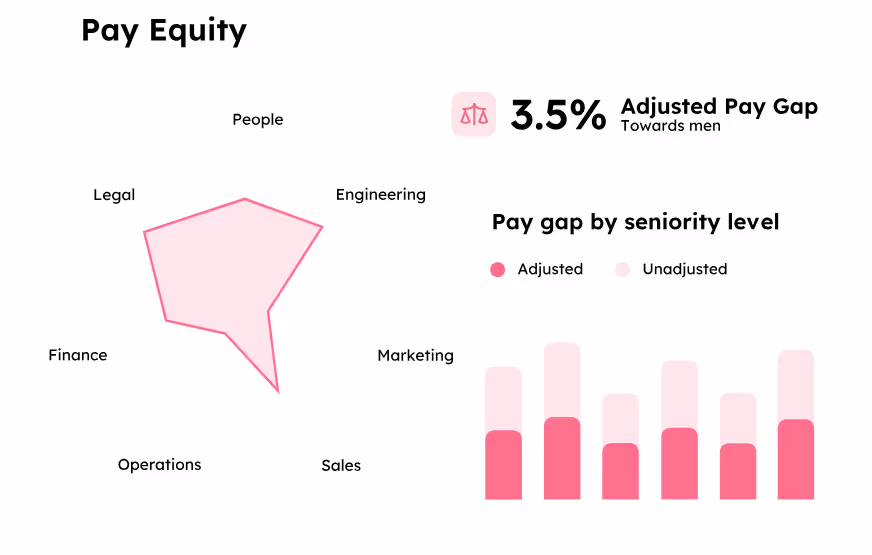3 - Example of pay equity model