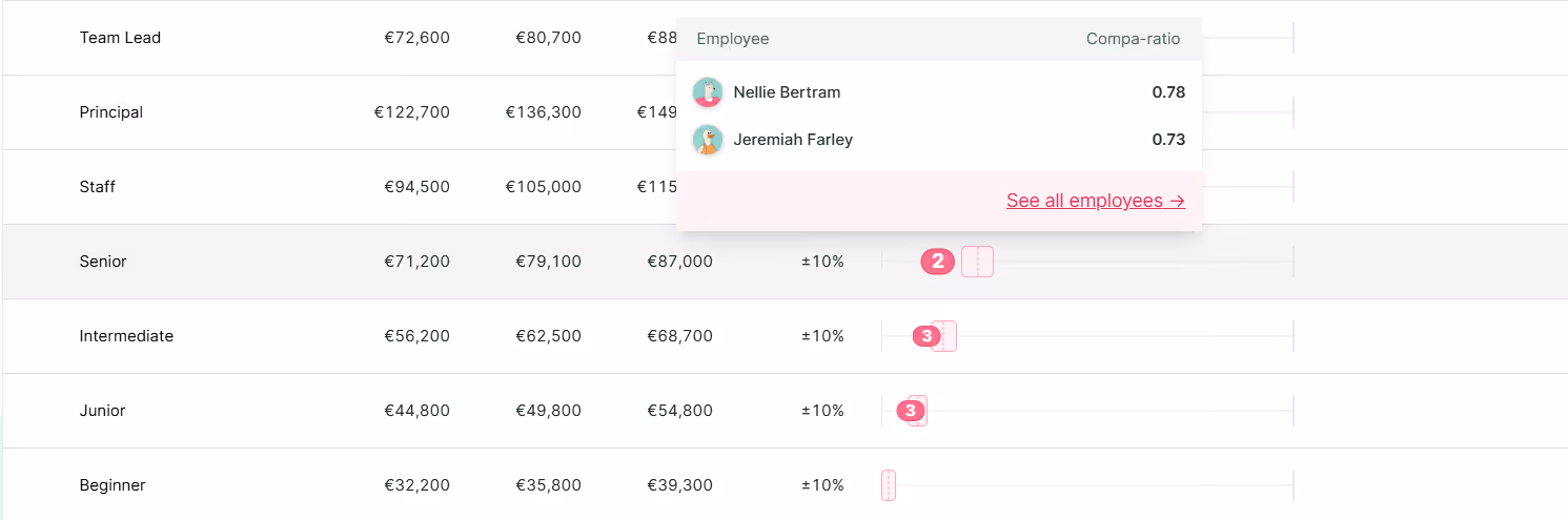 4 - Figures salary bands dashboard