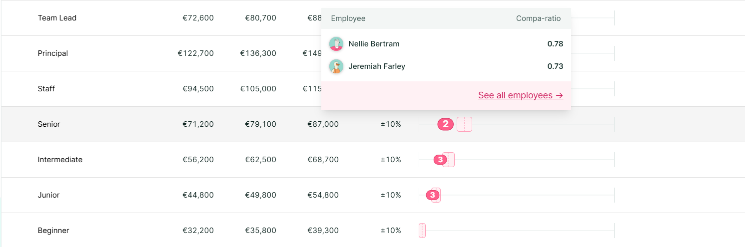 4 - Figures salary bands dashboard 