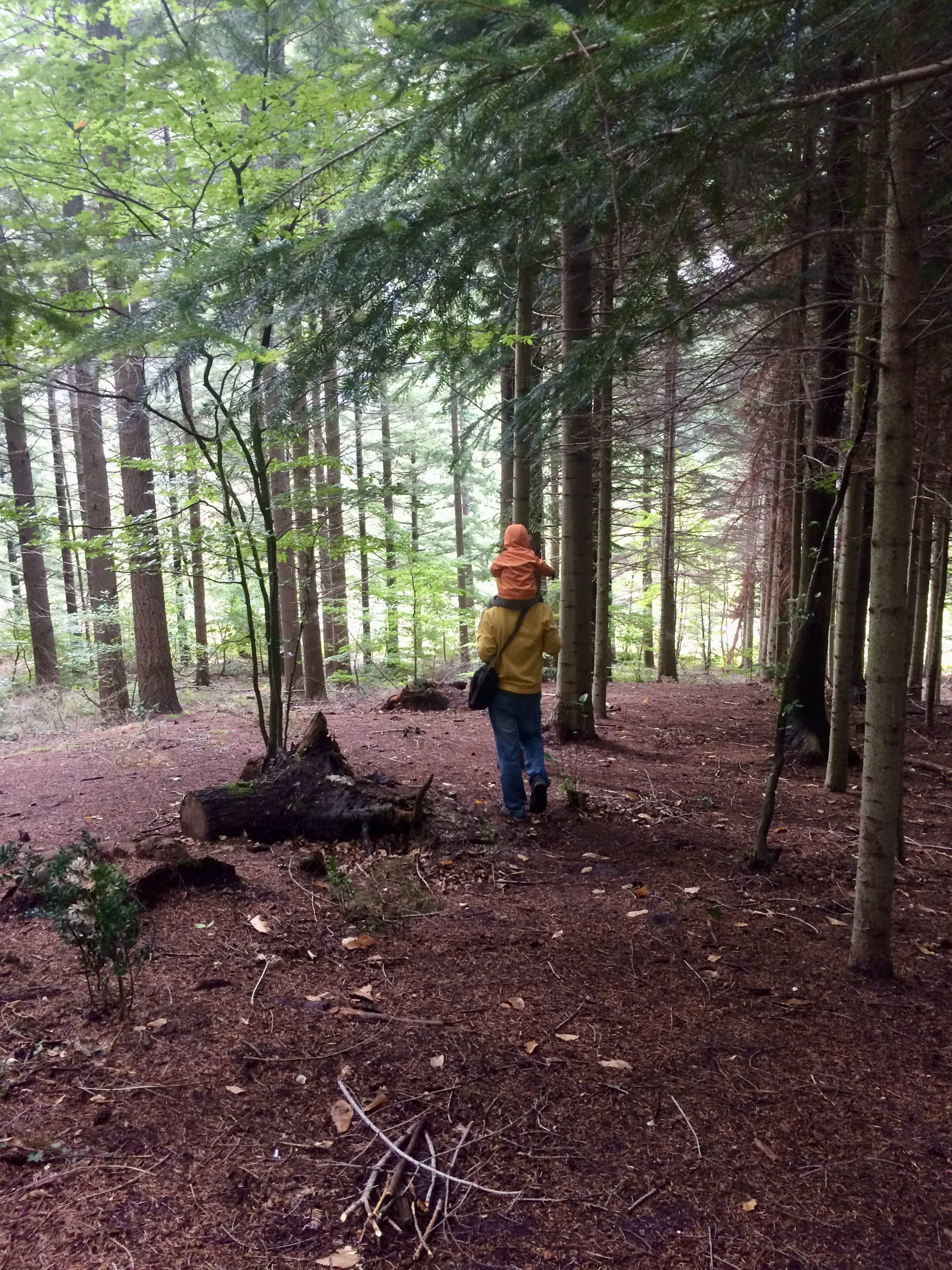 Nature et psychologie