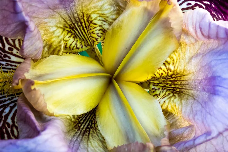 vitalité séjour nature sauvage