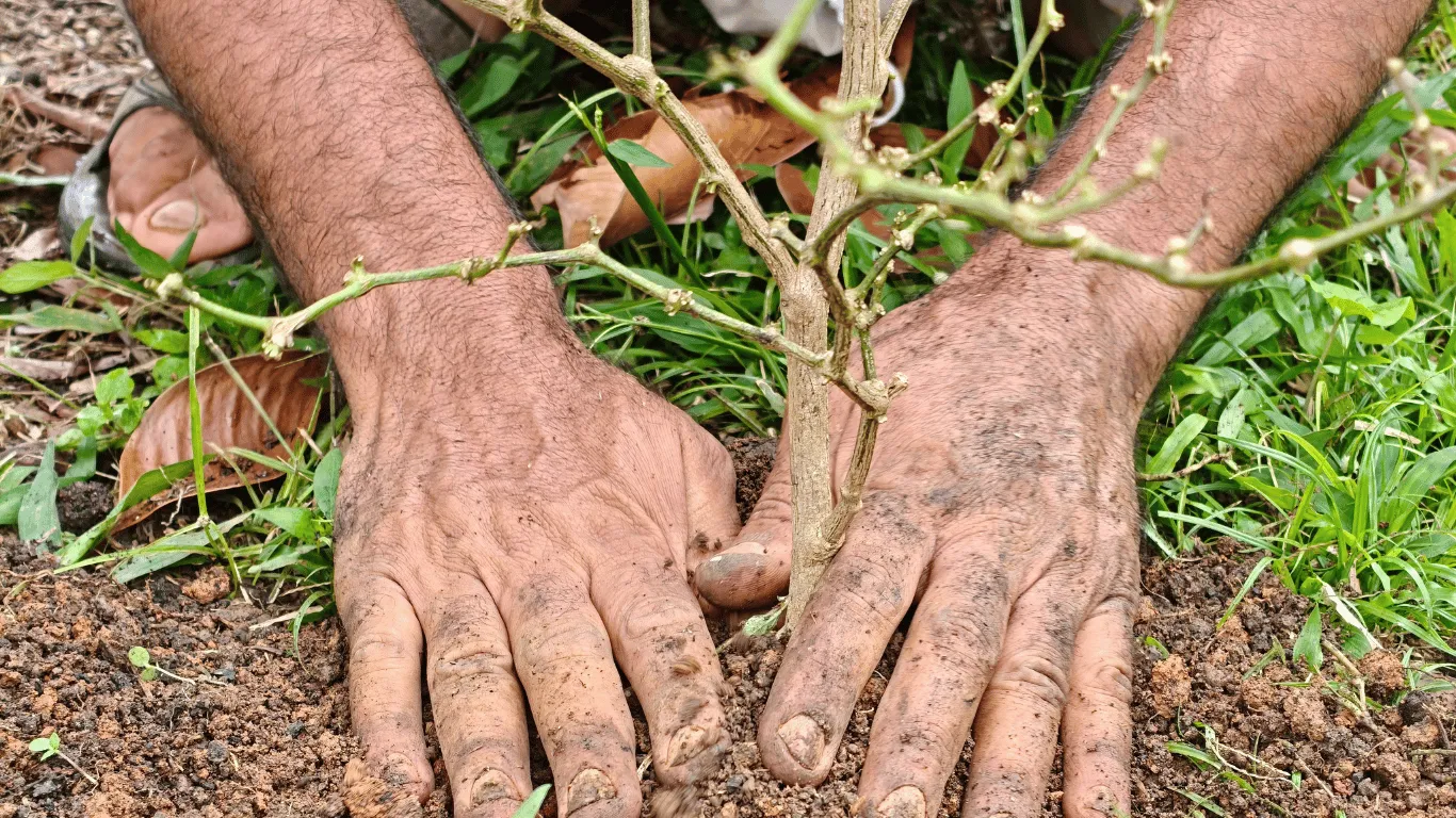 yoga-permaculture-renouer-avec-la-terre