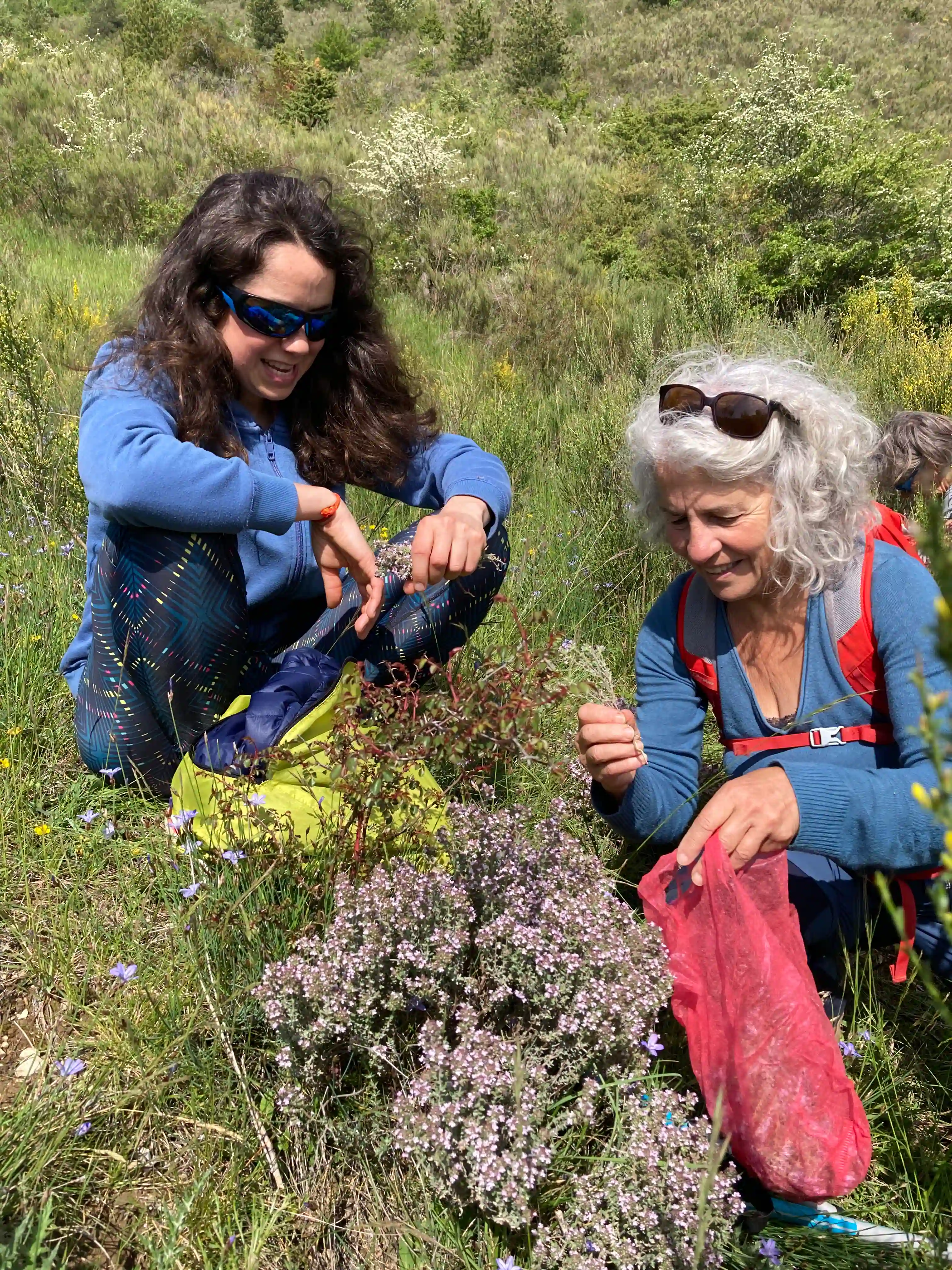 cueillette_plantes_sauvages_retraite_yoga